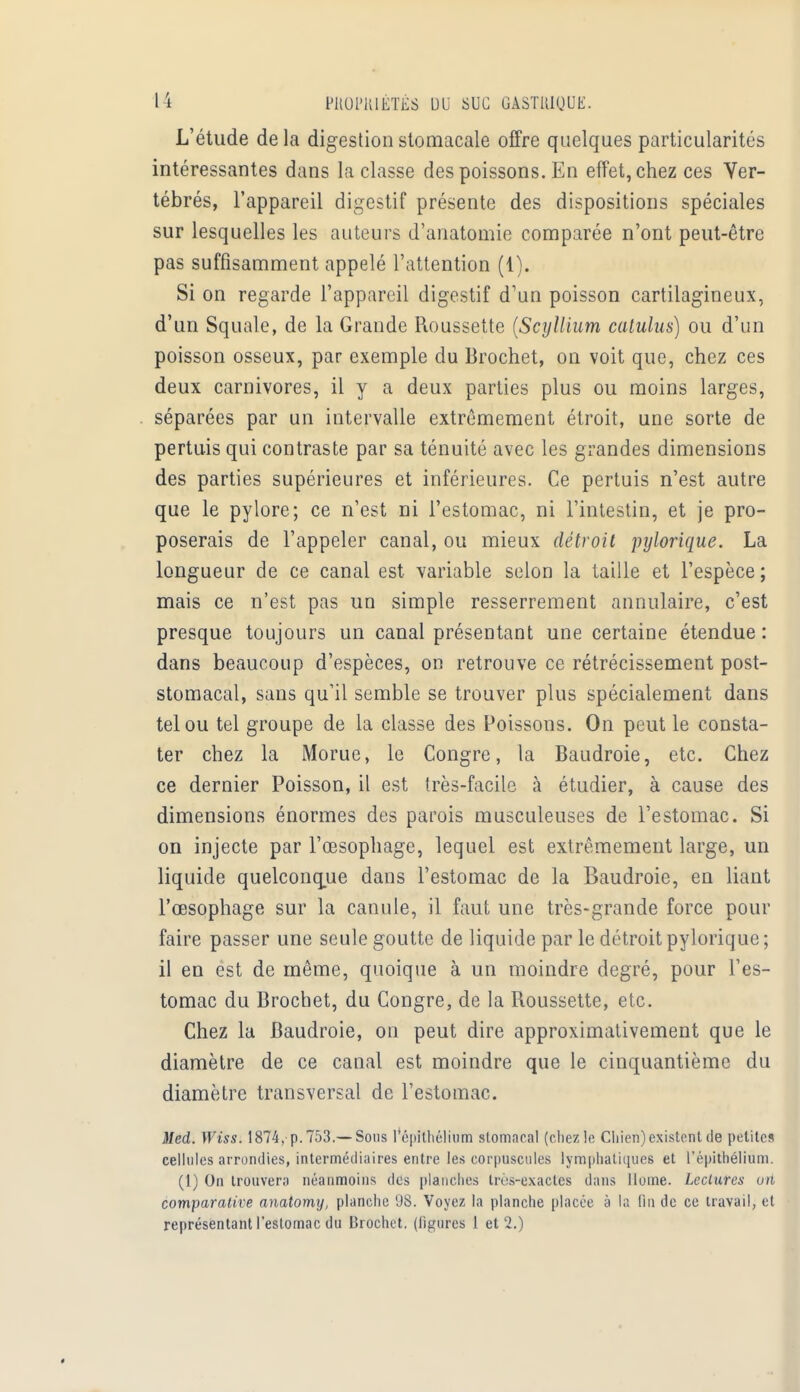 L'étude delà digestion stomacale offre quelques particularités intéressantes dans la classe des poissons. En effet, chez ces Ver- tébrés, l'appareil digestif présente des dispositions spéciales sur lesquelles les auteurs d'anatomie comparée n'ont peut-être pas suffisamment appelé l'attention (1). Si on regarde l'appareil digestif d'un poisson cartilagineux, d'un Squale, de la Grande Roussette (Scyllium catulus) ou d'un poisson osseux, par exemple du Brochet, on voit que, chez ces deux carnivores, il y a deux parties plus ou moins larges, séparées par un intervalle extrêmement étroit, une sorte de pertuis qui contraste par sa ténuité avec les grandes dimensions des parties supérieures et inférieures. Ce pertuis n'est autre que le pylore; ce n'est ni l'estomac, ni l'intestin, et je pro- poserais de l'appeler canal, ou mieux détroit pylorique. La longueur de ce canal est variable selon la taille et l'espèce ; mais ce n'est pas un simple resserrement annulaire, c'est presque toujours un canal présentant une certaine étendue: dans beaucoup d'espèces, on retrouve ce rétrécissement post- stomacal, sans qu'il semble se trouver plus spécialement dans tel ou tel groupe de la classe des Poissons. On peut le consta- ter chez la Morue, le Congre, la Baudroie, etc. Chez ce dernier Poisson, il est très-facile à étudier, à cause des dimensions énormes des parois musculeuses de l'estomac. Si on injecte par l'œsophage, lequel est extrêmement large, un liquide quelconque dans l'estomac de la Baudroie, en liant l'œsophage sur la canule, il faut une très-grande force pour faire passer une seule goutte de liquide par le détroit pylorique ; il en est de même, quoique à un moindre degré, pour l'es- tomac du Brochet, du Congre, de la Roussette, etc. Chez la Baudroie, on peut dire approximativement que le diamètre de ce canal est moindre que le cinquantième du diamètre transversal de l'estomac. Med. Wiss. 1874, p. 753.—Sous l'épithélium stomacal (chez le Chien)existent de petites cellules arrondies, intermédiaires entre les corpuscules lymphatiques et l'épithélium. (1) On trouvera néanmoins des planches très-exactes dans Home. Lectures oit comparative anatomy, planche 98. Voyez la planche placée à la fin de ce travail, et représentant l'estomac du Brochet, (figures 1 et 2.)