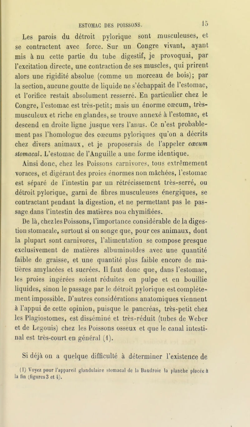 Les parois du détroit pylorique sont musculeuses, et se contractent avec force. Sur un Congre vivant, ayant mis à nu cette partie du tube digestif, je provoquai, par l'excitation directe, une contraction de ses muscles, qui prirent alors une rigidité absolue (comme un morceau de bois); par la section, aucune goutte de liquide ne s'échappait de l'estomac, et l'orifice restait absolument resserré. En particulier chez le Congre, l'estomac est très-petit; mais un énorme cœcum, très- musculeux et riche en glandes, se trouve annexé à l'estomac, et descend en droite ligne jusque vers l'anus. Ce n'est probable- ment pas l'homologue des cœcums pyloiïques qu'on a décrits chez divers animaux, et je proposerais de l'appeler cœcum stomacal. L'estomac de l'Anguille a une forme identique. Ainsi donc, chez les Poissons carnivores, tous extrêmement voraces, et digérant des proies énormes non mâchées, l'estomac est séparé de l'intestin par un rétrécissement très-serré, ou détroit pylorique, garni de fibres musculeuses énergiques, se contractant pendant la digestion, et ne permettant pas le pas- sage dans l'intestin des matières non chymifiées. De là, chez les Poissons, l'importance considérable de la diges- tion stomacale, surtout si on songe que, pour ces animaux, dont la plupart sont carnivores, l'alimentation se compose presque exclusivement de matières albuminoïdes avec une quantité faible de graisse, et une quantité plus faible encore de ma- tières amylacées et sucrées. Il faut donc que, dans l'estomac, les proies ingérées soient réduites en pulpe et en bouillie liquides, sinon le passage par le détroit pylorique est complète- ment impossible. D'autres considérations anatomiques viennent à l'appui de cette opinion, puisque le pancréas, très-petit chez les Plagiostomes, est disséminé et très-réduit (tubes de Weber et de Legouis) chez les Poissons osseux et que le canal intesti- nal est très-court en général (1). Si déjà on a quelque difficulté à déterminer l'existence de (1) Voyez pour l'appareil glandulaire stomacal de la Baudroie la planche placée à la fin (figures 3 et 4).