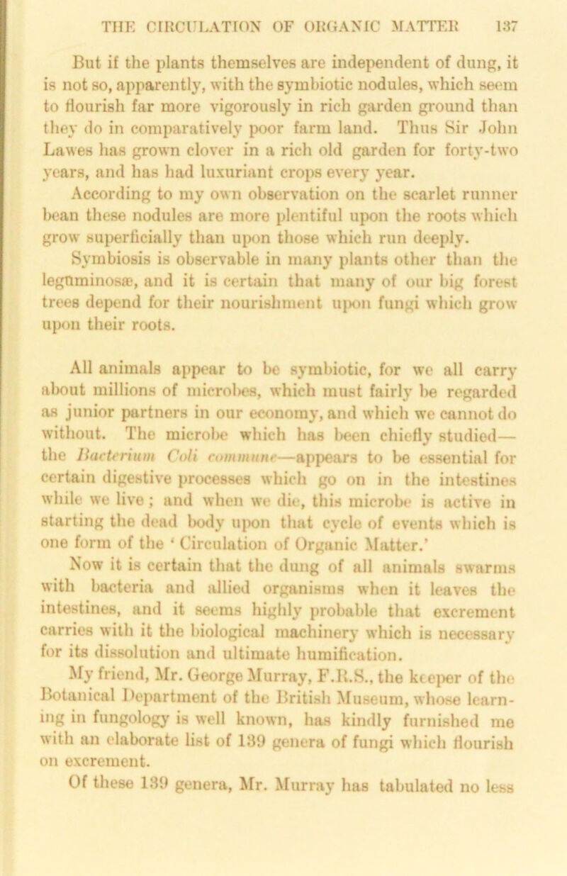 But if the plants themselves are indej^endent of dung, it is not so, apparently, with the symbiotic nodules, which seem to nourish far more vigorously in rich garden ground than they do in comparatively poor farm land. Thus Sir John Lawes has grown clover in a rich old garden for forty-two years, and has had luxuriant crops every year. According to my own observation on the scarlet runner lx?an these nodules are more plentiful upon the roots which grow Huperhcially than uix>n those which run deeply. Symbiosis is observable in many plants other than the legtiminosa?, and it is certain that many of our big forest trees depend for their nourishment U|K)n fungi which grow upon their roots. All animals appear to be symbiotic, for we all carry about millions of microl)C8, which must fairly l>e regarded as junior partners in our economy, and which we cannot do without. The microln? which has l>een chiefly studied— the liactrrium CoH commune—appears to be essential for certain digestive processes which go on in the intestines while we live; and when we die, this microb«* is Jictive in starting the dead body uiwn that cycle of events which is one form of the ‘ Circulation of Organic Matter.’ Now it is certain that the dung of all animals swarms with bacteria and tUlied organisms when it leaves the intestines, and it seems highly probable that excrement carries with it the biological machinery which is necessary for its dissolution and ultimate humification. My friend, Mr. George Murray, F.B.S., the kce}>er of the liotanical ])epartment of the British Museum, whose learn- ing in fungology is well known, has kindly furnished me with an elaborate list of 139 genera of fungi which flourish on excrement. Of these 139 genera, Mr. Murray has tabulate<l no less