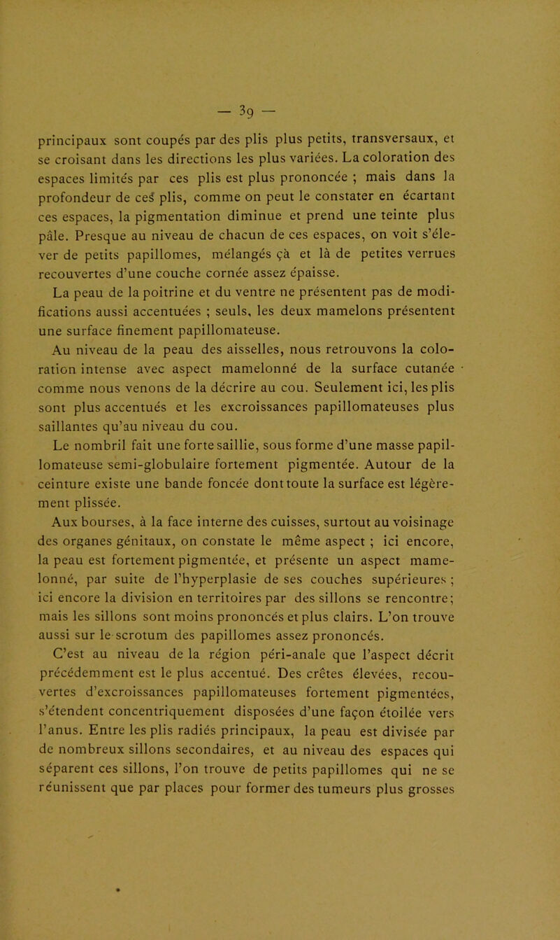 principaux sont coupés par des plis plus petits, transversaux, et se croisant dans les directions les plus variées. La coloration des espaces limités par ces plis est plus prononcée ; mais dans la profondeur de ce3 plis, comme on peut le constater en écartant ces espaces, la pigmentation diminue et prend une teinte plus pâle. Presque au niveau de chacun de ces espaces, on voit s’éle- ver de petits papillomes, mélangés çà et là de petites verrues recouvertes d’une couche cornée assez épaisse. La peau de la poitrine et du ventre ne présentent pas de modi- fications aussi accentuées ; seuls, les deux mamelons présentent une surface finement papillomateuse. Au niveau de la peau des aisselles, nous retrouvons la colo- ration intense avec aspect mamelonné de la surface cutanée comme nous venons de la décrire au cou. Seulement ici, les plis sont plus accentués et les excroissances papillomateuses plus saillantes qu’au niveau du cou. Le nombril fait une forte saillie, sous forme d’une masse papil- lomateuse semi-globulaire fortement pigmentée. Autour de la ceinture existe une bande foncée dont toute la surface est légère- ment plissée. Aux bourses, à la face interne des cuisses, surtout au voisinage des organes génitaux, on constate le même aspect ; ici encore, la peau est fortement pigmentée, et présente un aspect mame- lonné, par suite de l’hyperplasie de ses couches supérieures ; ici encore la division en territoires par des sillons se rencontre; mais les sillons sont moins prononcés et plus clairs. L’on trouve aussi sur le scrotum des papillomes assez prononcés. C’est au niveau de la région péri-anale que l’aspect décrit précédemment est le plus accentué. Des crêtes élevées, recou- vertes d’excroissances papillomateuses fortement pigmentées, s’étendent concentriquement disposées d’une façon étoilée vers l’anus. Entre les plis radiés principaux, la peau est divisée par de nombreux sillons secondaires, et au niveau des espaces qui séparent ces sillons, l’on trouve de petits papillomes qui ne se réunissent que par places pour former des tumeurs plus grosses