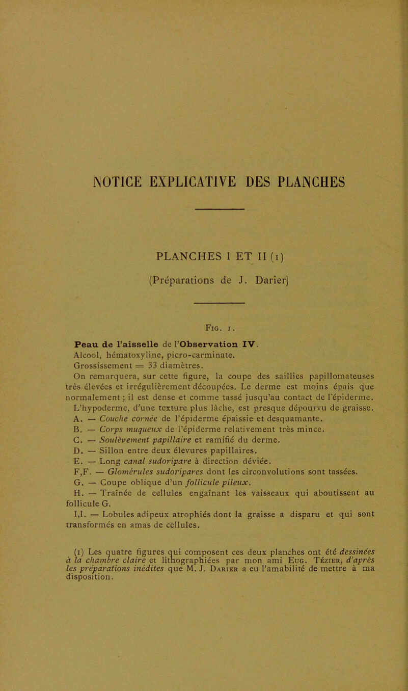 NOTICE EXPLICATIVE DES PLANCHES PLANCHES 1 ET II (i) (Préparations de J. Darier) Fig. i. Peau de l’aisselle de l’Observation IV. Alcool, hématoxyline, picro-carminate. Grossissement = 33 diamètres. On remarquera, sur cette figure, la coupe des saillies papillomateuses très élevées et irrégulièrement découpées. Le derme est moins épais que normalement; il est dense et comme tassé jusqu’au contact de l’épiderme. L’hypoderme, d'une texture plus lèche, est presque dépourvu de graisse. A. — Couche cornée de l’épiderme épaissie et desquamante. B. — Corps muqueux de l’épiderme relativement très mince. G. — Soulèvement papillaire et ramifié du derme. D. — Sillon entre deux élevures papillaires. E. — Long canal sudoripare à direction déviée. F. F. — Glomérules sudoripares dont les circonvolutions sont tassées. G. — Coupe oblique d’un follicule pileux. H. — Traînée de cellules engaînant les vaisseaux qui aboutissent au follicule G. I. 1. — Lobules adipeux atrophiés dont la graisse a disparu et qui sont transformés en amas de cellules. (i) Les auatre figures oui composent ces deux planches ont été dessinées à la chambre claire et lithographiées par mon ami Eug. Tézier, d’après les préparations inédites que M. J. Darier a eu l’amabilité de mettre à ma disposition.