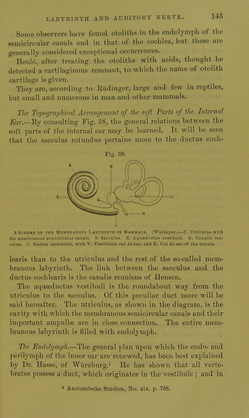 Some observers have found otoliths in the endolymph of the semicircular canals and in that of the cochlea, but these are generally considered exceptional occurrences. Henlc, after treating the otoliths with acids, thought he detected a cartilaginous remnant, to which the name of otolith cartilage is given. They are, according to Riidinger, large and few in reptiles, but small and numerous in man and other mammals. The Topogra-pMcal Arrangement of the soft Parts of the Internal Ear.—By consulting Tig. 38, the general relations between the soft parts of the internal ear may be learned. It will be seen that the sacculus rotundus pertains more to the ductus coch- A Scheme of the Membranous Labyrinth of Mammals. (Waldeyer.)—U. Utriculus with the membranous seniicircuhir canals. S. Sacciilns. R. Aqiiaiductus vestibuli. G. Ciinalia reu- niens. C. Ductus cochlearis, with V. Vestibular cul de sac, and K. Cul de sac of the cupola. learis than to the utriculus and the rest of the so-called mem- branous labyrinth. The link between the sacculus and the ductus cochlearis is the canalis reuniens of Hensen. The aqu8eductus vestibuli is the roundabout way from the utriculus to the sacculus. Of this peculiar duet more will be said hereafter. The utriculus, as shown in the diagram, is the cavity with which the membranous semicircular canals and their important ampullfe are in close connection. The entire mem- branous labyrinth is filled with endolymph. The Endolymph.—The general plan upon which the en do- and perilymph of the inner ear are renewed, has been best explained by Dr. Hasse, of Wiirzburg.^ He has shown that all verte- brates possess a duct, which originates in the vestibule ; and in Fig. 38. c V * Anatomisclie StucUen, No. xix. p. 768.