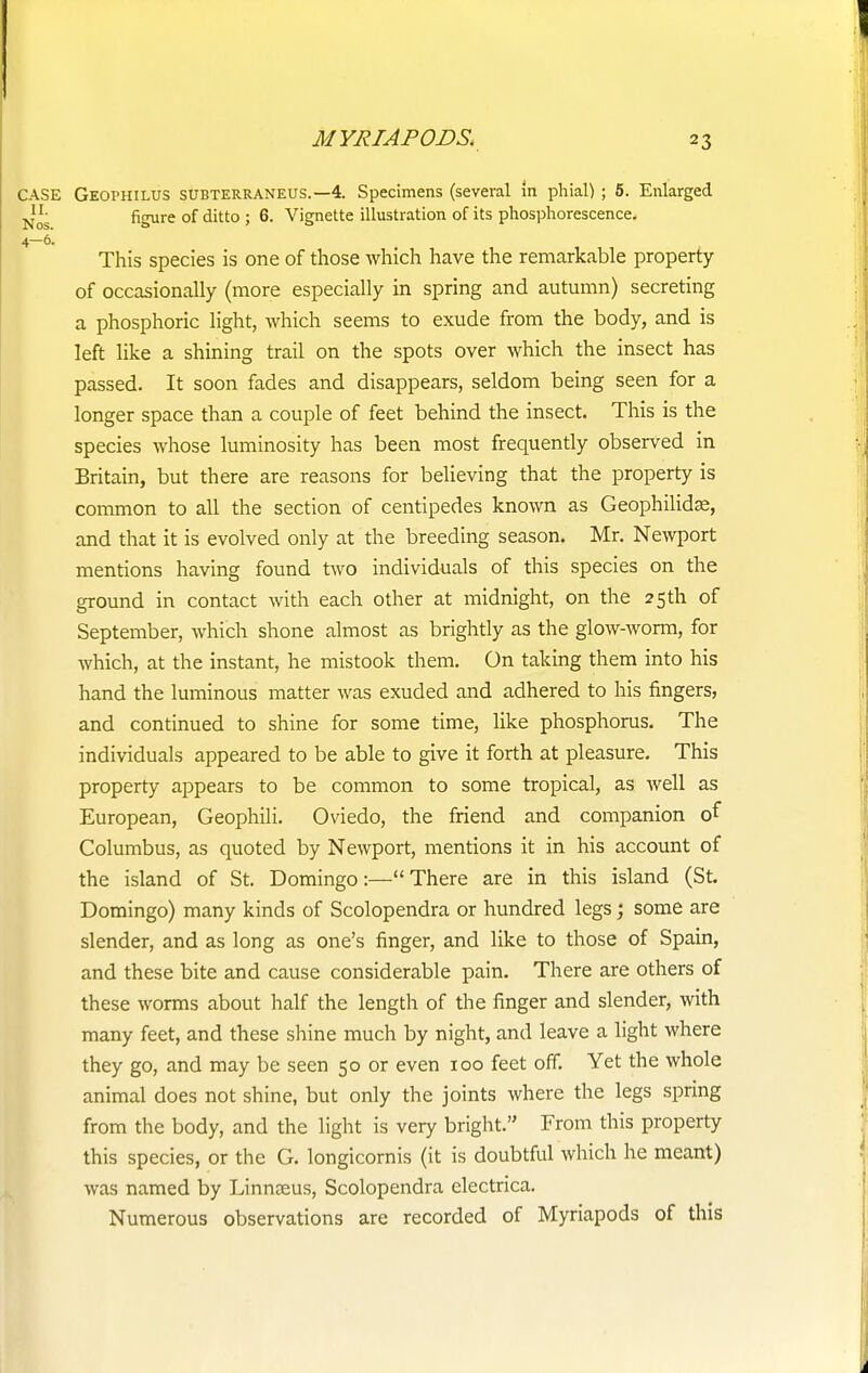 CASE Geophilus subterraneus.—4. Specimens (several m phial) ; 5. Enlarged Nos figure of ditto ; 6. Vignette illustration of its phosphorescence. 4-6. This species is one of those which have the remarkable property of occasionally (more especially in spring and autumn) secreting a phosphoric light, which seems to exude from the body, and is left like a shining trail on the spots over which the insect has passed. It soon fades and disappears, seldom being seen for a longer space than a couple of feet behind the insect. This is the species whose luminosity has been most frequently observed in Britain, but there are reasons for believing that the property is common to all the section of centipedes known as Geophihcte, and that it is evolved only at the breeding season. Mr. Newport mentions having found two individuals of this species on the ground in contact with each other at midnight, on the 25 th of September, which shone almost as brightly as the glow-worm, for which, at the instant, he mistook them. On taking them into his hand the luminous matter was exuded and adhered to his fingers, and continued to shine for some time, like phosphorus. The individuals appeared to be able to give it forth at pleasure. This property appears to be common to some tropical, as well as European, Geophili. Oviedo, the friend and companion of Columbus, as quoted by Newport, mentions it in his account of the island of St. Domingo:—There are in this island (St. Domingo) many kinds of Scolopendra or hundred legs; some are slender, and as long as one's finger, and like to those of Spain, and these bite and cause considerable pain. There are others of these worms about half the length of the finger and slender, with many feet, and these shine much by night, and leave a light where they go, and may be seen 50 or even 100 feet off. Yet the whole animal does not shine, but only the joints where the legs spring from the body, and the light is very bright. From this property this species, or the G. longicornis (it is doubtful which he meant) was named by Linnseus, Scolopendra electrica. Numerous observations are recorded of Myriapods of this