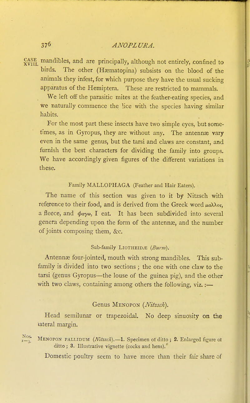 mandibles, and are principally, although not entirely, .confined to birds. The other (Hasmatopina) subsists on the blood of the animals they infest, for which purpose they have the usual sucking apparatus of the Hemiptera. These are restricted to mammals. We left off the parasitic mites at the feather-eating species, and we naturally commence the lice with the species having similar habits. For the most part these insects have two simple eyes, but some- times, as in Gyropus, they are without any. The antennas vary even in the same genus, but the tarsi and claws are constant, and furnish the best characters for dividing the family into groups. We have accordingly given figures of the different variations in these. Family MALLOPHAGA (Feather and Hair Eaters). The name of this section was given to it by Nitzsch with reference to their food, and is derived from the Greek word uaXKos, a fleece, and <paya>, I eat. It has been subdivided into several genera depending upon the form of the antennae, and the number of joints composing them, &c. Sub-family Liotheilve (Burm). Antenna? four-jointed, mouth with strong mandibles. This sub- family is divided into two sections ; the one with one claw to the tarsi (genus Gyropus—the louse of the guinea pig), and the other with two claws, containing among others the following, viz.:— Genus Menopon (Nitzsch). Head semilunar or trapezoidal. No deep sinuosity on the lateral margin. Menopon pallidum (Mtzsch).—1. Specimen ot ditto ; 2. Enlarged figure ot ditto; 3. Illustrative vignette (cocks and hens).' Domestic poultry seem to have more riian their fair share of