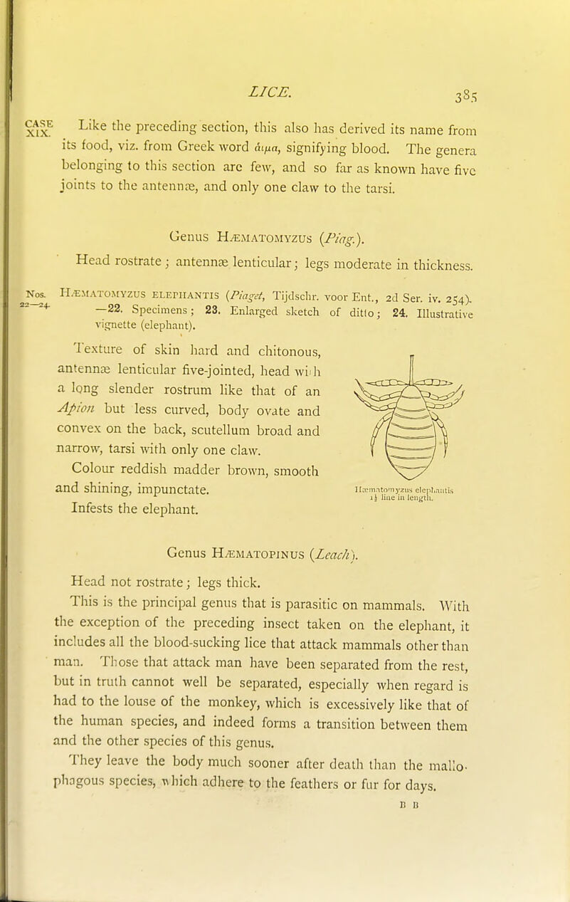 3S5 Like the preceding section, this also has derived its name from its food, viz. from Greek word Aifia, signifying blood. The genera belonging to this section are few, and so far as known have five joints to the antenna?, and only one claw to the tarsi. Genus H^EMATOMYZUs (Ping.). Head rostrate; antennae lenticular; legs moderate in thickness. Nos. H/EMATOMYZUS eletiiantis {Piaget, Tijdschr. voor Ent., 2d Ser. iv. 254). —22. Specimens; 23. Enlarged sketch of ditto; 24. Illustrative vignette (elephant). Texture of skin hard and chitonous, antennae lenticular five-jointed, headwidi a long slender rostrum like that of an Apion but less curved, body ovate and convex on the back, scutellum broad and narrow, tarsi with only one claw. Colour reddish madder brown, smooth and Shining, impUllCtate. Hmmatomyzus elenLnsitis li line in length. Infests the elephant. Genus Htematopjnus {Leach). Head not rostrate; legs thick. This is the principal genus that is parasitic on mammals. With the exception of the preceding insect taken on the elephant, it includes all the blood-sucking lice that attack mammals other than man. Those that attack man have been separated from the rest, but in truth cannot well be separated, especially when regard is had to the louse of the monkey, which is excessively like that of the human species, and indeed forms a transition between them and the other species of this genus. They leave the body much sooner after death than the mallo- phagous species, whioh adhere to the feathers or fur for days.