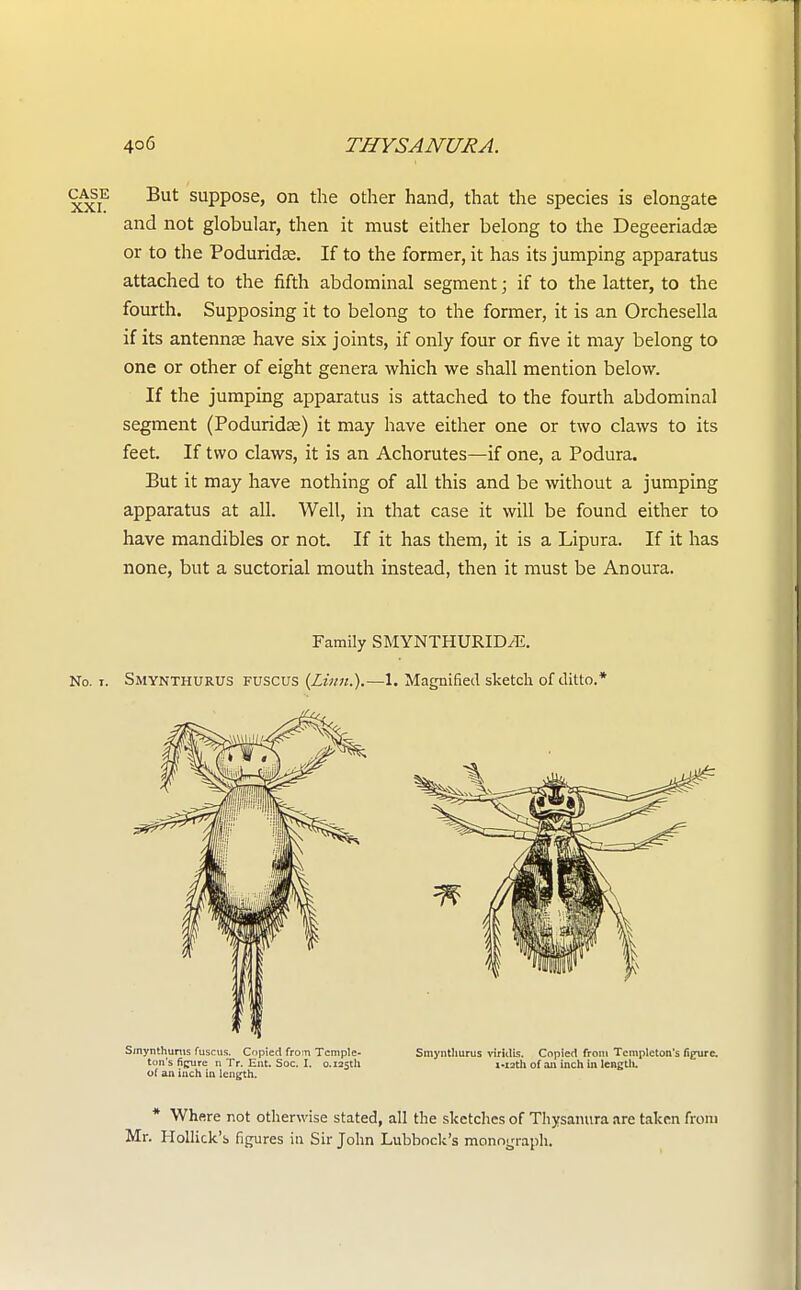 c^se But suppose, on the other hand, that the species is elongate and not globular, then it must either belong to the Degeeriadae or to the Poduridas. If to the former, it has its jumping apparatus attached to the fifth abdominal segment; if to the latter, to the fourth. Supposing it to belong to the former, it is an Orchesella if its antennse have six joints, if only four or five it may belong to one or other of eight genera which we shall mention below. If the jumping apparatus is attached to the fourth abdominal segment (Podurida?) it may have either one or two claws to its feet. If two claws, it is an Achorutes—if one, a Podura. But it may have nothing of all this and be without a jumping apparatus at all. Well, in that case it will be found either to have mandibles or not. If it has them, it is a Lipura. If it has none, but a suctorial mouth instead, then it must be Anoura. Family SMYNTHURID/E. No. i. Smynthurus Fuscus {Linn.).—1. Magnified sketch of ditto.* * Where not otherwise stated, all the sketches of Thysanura are taken from Mr. Rollick's figures in Sir John Lubbock's monograph. Smynthurus fuscus. Copied from Temple- ton's figure n Tr. Ent. Soc. I. 0.125th of an inch in length. Smynthurus viridts. Copied from Tcmplcton's fipurc. i-xath of an inch in length.