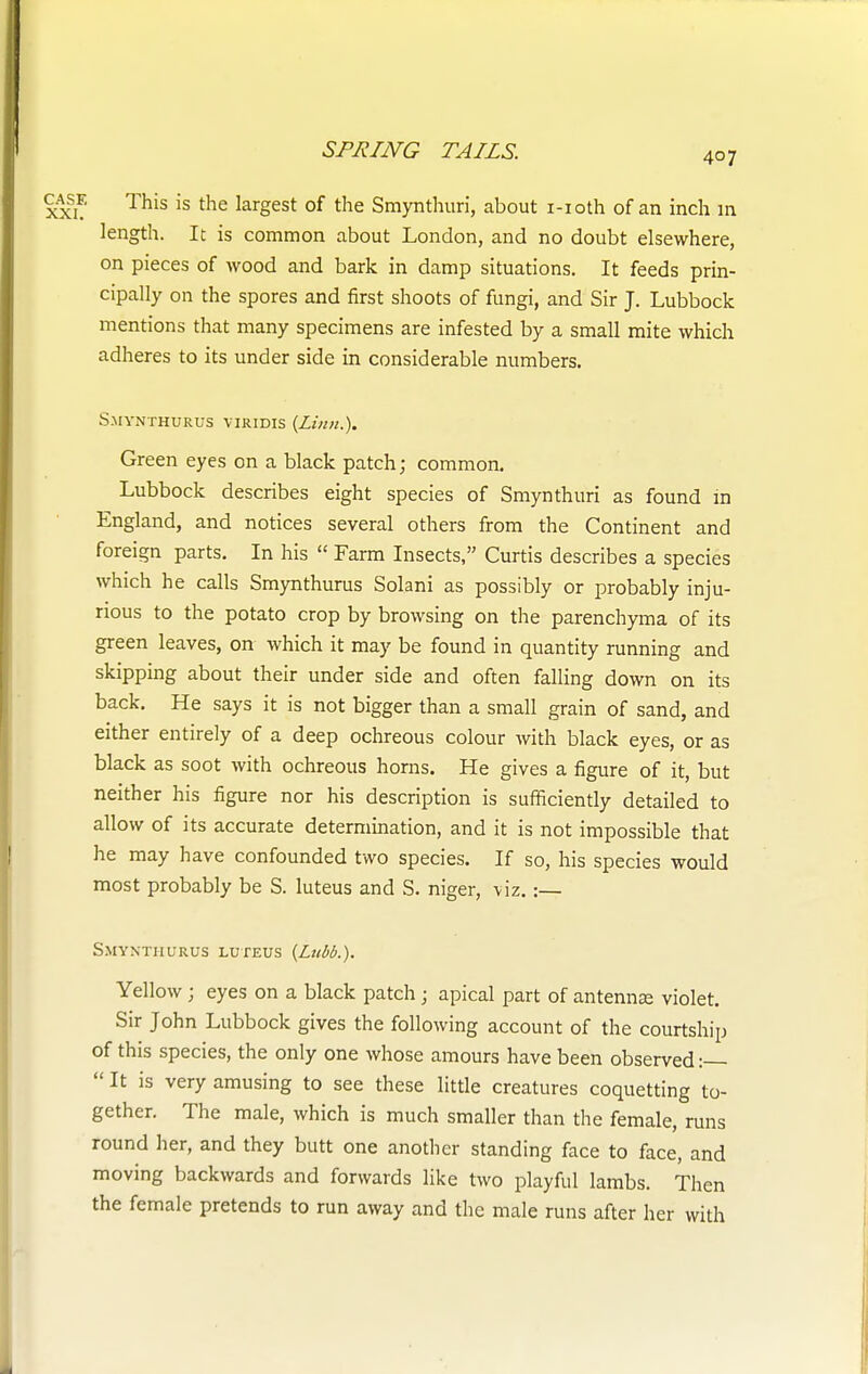 This is the largest of the Smynthuri, about i-ioth of an inch in length. It is common about London, and no doubt elsewhere, on pieces of wood and bark in damp situations. It feeds prin- cipally on the spores and first shoots of fungi, and Sir J. Lubbock mentions that many specimens are infested by a small mite which adheres to its under side in considerable numbers. S.MYNTHURUS VIRIDIS {Linn.). Green eyes on a black patch; common. Lubbock describes eight species of Smynthuri as found in England, and notices several others from the Continent and foreign parts. In his  Farm Insects, Curtis describes a species which he calls Smynthurus Solani as possibly or probably inju- rious to the potato crop by browsing on the parenchyma of its green leaves, on which it may be found in quantity running and skipping about their under side and often falling down on its back. He says it is not bigger than a small grain of sand, and either entirely of a deep ochreous colour with black eyes, or as black as soot with ochreous horns. He gives a figure of it, but neither his figure nor his description is sufficiently detailed to allow of its accurate determination, and it is not impossible that he may have confounded two species. If so, his species would most probably be S. luteus and S. niger, viz.:— Smynthurus luteus (Licbb.). Yellow ; eyes on a black patch ; apical part of antennae violet. Sir John Lubbock gives the following account of the courtship of this species, the only one whose amours have been observed:  It is very amusing to see these little creatures coquetting to- gether. The male, which is much smaller than the female, runs round her, and they butt one another standing face to face, and moving backwards and forwards like two playful lambs. Then the female pretends to run away and the male runs after her with