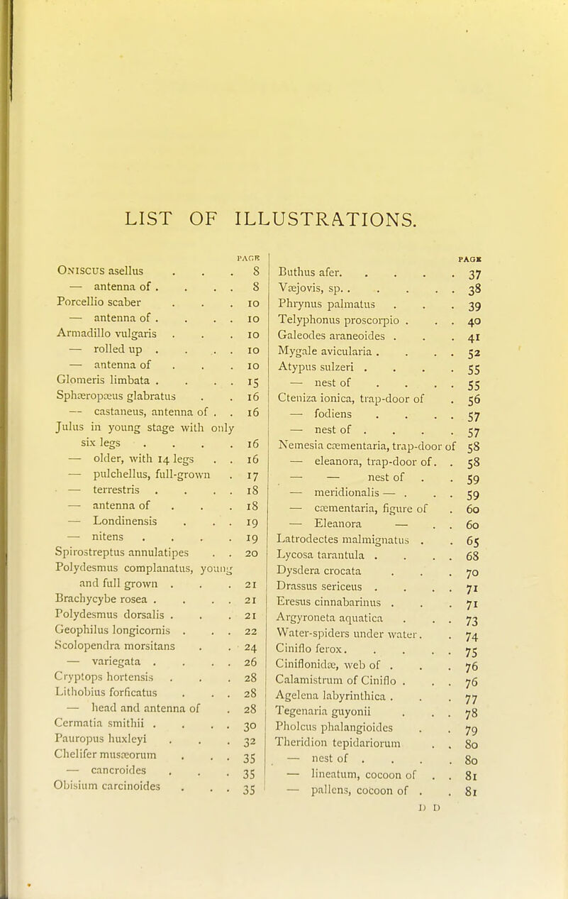 LIST OF ILLUSTRATIONS. Oxiscus asellus — antenna of . Porcellio scaber — antenna of . Armadillo vulgaris — rolled up . — antenna of Glomeris limbata . Sphreropceus glabratus — castaneus, antenna of Julus in young stage with only six legs . — older, with 14 legs — pulchellus, full-grown — terrestris — antenna of — Londinensis — nitens Spirostreptus annulatipes Polydesmus complanatus, yov and full grown . Brachycybe rosea . Polydesmus dorsalis . Geophilus longicornis . Scolopendra morsitans — variegata . Cryptops hortensis Lithobius forficatus — head and antenna of Cermatia smithii . Pauropus huxleyi Chelifer musreorum ■—■ cancroides Obisium carcinoides PAGE PAGK 8 Buthus afer 37 8 Vsejovis, sp. . . . . 38 10 Phiynus palmatus 39 10 Telyphonus proscorpio . . . 40 10 Galeodes araneoides . 41 10 Mygale avicularia . . . . S2 10 Atypus sulzeri .... 55 IS — nest of ... . 55 16 Cteniza ionica, trap-door of 56 16 — fodiens . . . 57 — nest of . ■57 16 Nemesia ccementaria, trap-door of 58 16 — eleanora, trap-door of. . 58 17 — — nest of 59 18 — meridionalis — . . . 59 18 — crementaria, figure of 60 19 — Eleanora — 60 19 Latrodectes malmignatus . 65 20 Lycosa tarantula . . . . 68 Dysdera crocata 70 21 Drassus sericeus . . . 7i 21 Eresus cinnabarinus . 7i 21 Argyroneta aquatica . . . 73 22 Water-spiders under water. 74 24 Ciniflo ferox. . . . . 75 26 Ciniflonidte, web of . 76 28 Calamistrum of Cinifio . . . 76 28 Agelena labyrinthica . 77 28 Tegenaria guyonii . . . 78 30 Pholcus phalangioides 79 32 Theridion tepidariorum . . 80 35 — nest of . 80 35 — lineatum, cocoon of . . 81 35 : -— pallens, cocoon of . 81 J) D