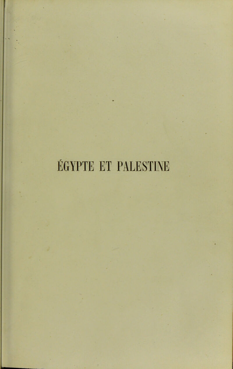 ÉGYPTE ET PALESTINE