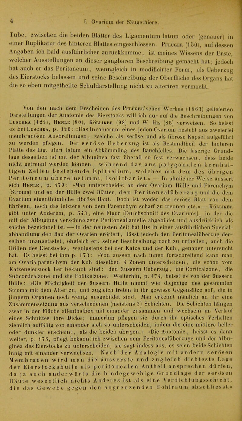 •1 Tube, zwischen die beiden Blätter des Ligamentum latum oder (genauer) in einer Duplikatur des hinteren Bialtes eingeschlossen. Pplügeb (150), auf dessen Angaben ich bald ausführlicher zurückkomme, ist meines Wissens der Erste, welcher Ausstellungen an dieser gangbaren Beschreibung gemacht hat; jedoch hat auch er das Peritoneum, wenngleich in modificirler Form, als Ueberzug des Eierstocks belassen und seine Beschreibung der Oberfläche des Organs hat die so eben mitgetheilte Schuldarstellung nicht zu alteriren vermocht. Von den nach dem Erscheinen des PFLÜGEn'schen Werkes (1 863) gelieferten Darstellungen der Anatomie des Eierstocks will ich nur auf die Beschreibungen von Luschka Henle (80), Köllikeh (98) und W. His (85) verweisen. So heisst es bei Luschka, p. 32 6 : »Das Involucrum eines jeden Ovarium besieht aus zweierlei membranösen Ausbreitungen, welche als seröse und als fibröse Kapsel aufgeführt zu werden pflegen. Der seröse Ueberzug ist als Bestandteil der hinteren Platte des Lig. uteri latum ein Abkömmling des Bauchfelles. Die faserige Grund- lage desselben ist mit der Albuginea fast überall so fest verwachsen, dass beide nicht getrennt werden können, während das aus polygonalen kernhal- tigen Zellen bestehende Epitheiium, welches mit dem des übrigen Peritoneum übereinstimmt, isolirbar ist.« — In ähnlicher Weise äussert sich Hünle, p. 479: »Man unterscheidet an dem Ovarium Hülle und Parenchym (Siroma) und an der Hülle zwei Blätter, den Peritonealüberzug und die dem Ovarium eigenthiimliche fibröse Haut. Doch ist weder das seröse Blatt von dem fibrösen, noch das letztere von dem Parenchym scharf zu trennen etc.« — KÖlliker gibt unter Anderem, p. 543, eine Figur (Durchschnitt des Ovariums), in der die mit der Albuginea verschmolzene Periloneallamelle abgebildet und ausdrücklich als solche bezeichnet ist.—In der neuesten Zeit hat His in einer ausführlichen Special- abhandlung den Bau der Ovarien erörtert, lässtjedoch den Peritonealüberzug der- selben unangetastet, obgleich er, seiner Beschreibung nach zu urtheilen, auch die Hüllen des Eierstocks, wenigstens bei der Katze und der Kuh, genauer untersucht hat. Es heisst bei ihm p. 173 : »Von aussen nach innen fortschreitend kann man am Ovarialparenchym der Kuh dieselben 4 Zonen unterscheiden , die schon vom Katzeneierstock her bekannt sind : den äussern Ueberzug, die Corlicalzone, die Subcorticalzone und die Follikelzone. Weiterhin, p. 174, heisst es von der äussern Hülle: »Die Mächtigkeil der äussern Hülle nimmt wie diejenige des gesammten Slroma mit dem Alter zu, und zugleich treten in ihr gewisse Gegensätze auf, die in Jüngern Organen noch wenig ausgebildet sind. Man erkennt nämlich an ihr eine Zusammensetzung aus verschiedenen (meistens 3) Schichten. Die Schichten hängen /.war in der Fläche allenthalben mit einander zusammen und wechseln im Verlauf eines Schnittes ihre Dicke; immerhin pflegen sie durch ihr optisches Verhalten ziemlich auffällig von einander sich zu unterscheiden, indem die eine mittlere heller oder dunkler erscheint, als die beiden übrigen.« »Die Anatomie, heisst es dann weiter, p. 175, pflegt bekanntlich zwischen dem Peritonealüberzuge und der Albu- ginea des Eierstocks zu unterscheiden, sie sagt indess aus, es seien beide Schichten innig mit einander verwachsen. Nach der Analogie mit andern serösen Membranen wird man die äusserste und zugleich dichteste Lage der Eierstockshülle als peritonealen Antheil ansprechen dürfen, da ja auch anderwärts die bindegewebige Grundlage der serösen Häute wesentlich nichts Anderes ist als eine Verdichtungsschicht. die das Gewebe gegen den angrenzenden Hohlraum abschliessl