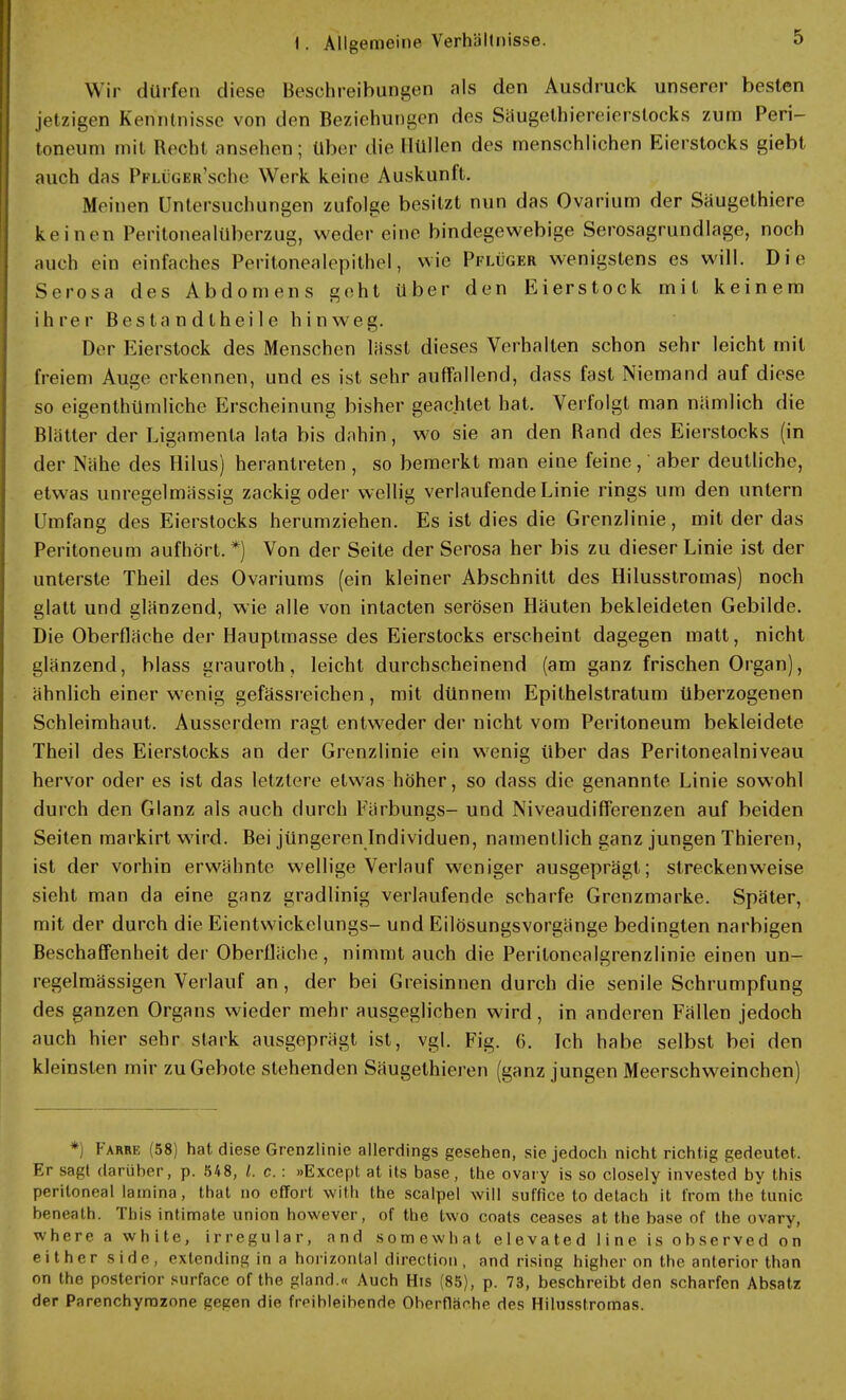 Wir dürfen diese Besehreibungen als den Ausdruek unserer besten jetzigen Kenntnisse von den Beziehungen des Säugetbiereierstocks zum Peri- toneum mit Hecht ansehen; über die Hüllen des menschlichen Eierstocks giebt auch das Pflügkr'scIh' Werk keine Auskunft. Meinen Untersuchungen zufolge besitzt nun das Ovarium der Säugethiere keinen Peritonealüberzug, weder eine bindegewebige Serosagrundlage, noch auch ein einfaches Peritonealepithel, wie Pflüger wenigstens es will. Die Serosa des Abdomens geht über den Eierstock mit keinem ihrer Bes ta n d thei 1 e hinweg. Der Eierstock des Menschen lässt dieses Verhalten schon sehr leicht mit freiem Auge erkennen, und es ist sehr auffallend, dass fast Niemand auf diese so eigentümliche Erscheinung bisher geachtet hat. Verfolgt man nämlich die Blätter der Ligamenta lata bis dahin, wo sie an den Band des Eierstocks (in der Nähe des Hilus) herantreten , so bemerkt man eine feine, aber deutliche, etwas unregelmässig zackig oder wellig verlaufende Linie rings um den untern Umfang des Eierstocks herumziehen. Es ist dies die Grenzlinie, mit der das Peritoneum aufhört. *j Von der Seite der Serosa her bis zu dieser Linie ist der unterste Theil des Ovariums (ein kleiner Abschnitt des Hilusstromas) noch glatt und glänzend, wie alle von intacten serösen Häuten bekleideten Gebilde. Die Oberfläche der Hauptmasse des Eierstocks erscheint dagegen matt, nicht glänzend, blass grauroth, leicht durchscheinend (am ganz frischen Organ), ähnlich einer wenig gefässreichen, mit dünnem Epithelstratum überzogenen Schleimhaut. Ausserdem ragt entweder der nicht vom Peritoneum bekleidete Theil des Eierstocks an der Grenzlinie ein wenig über das Peritonealniveau hervor oder es ist das letztere etwas höher, so dass die genannte Linie sowohl durch den Glanz als auch durch Färbungs- und Niveaudifferenzen auf beiden Seiten markirt wird. Bei jüngeren Individuen, namentlich ganz jungen Thieren, ist der vorhin erwähnte wellige Verlauf weniger ausgeprägt; streckenweise sieht man da eine ganz gradlinig verlaufende scharfe Grenzmarke. Später, mit der durch die Eientwickelungs- und Eilösungsvorgänge bedingten narbigen Beschaffenheit der Oberfläche, nimmt auch die Peritonealgrenzlinie einen un- regelmässigen Verlauf an, der bei Greisinnen durch die senile Schrumpfung des ganzen Organs wieder mehr ausgeglichen wird, in anderen Fällen jedoch auch hier sehr stark ausgeprägt ist, vgl. Fig. 6. Ich habe selbst bei den kleinsten mir zu Gebote stehenden Säugethieren (ganz jungen Meerschweinchen) *) Farre (58) hat diese Grenzlinie allerdings gesehen, sie jedoch nicht richtig gedeutet. Er sapl darüber, p. 548, /. c. : »Except at its base, the ovary is so closely invested by this peritoneal lainina, that no effort with the scalpel will suffice to detach it from the tunic beneath. This intimate union however, of the two coats ceases at the base of the ovary, whcro a white, irregulär, and somewbat elevated line is observed on e i t h c r s i d e , extending in a horizontal direction , and rising higher on the anterior tbnn on the posterior surface of the gland.« Auch His (85), p. 73, beschreibt den scharfen Absatz der Parenchyrozone gegen die freibleibende Oberfläche des Hilusstromas.