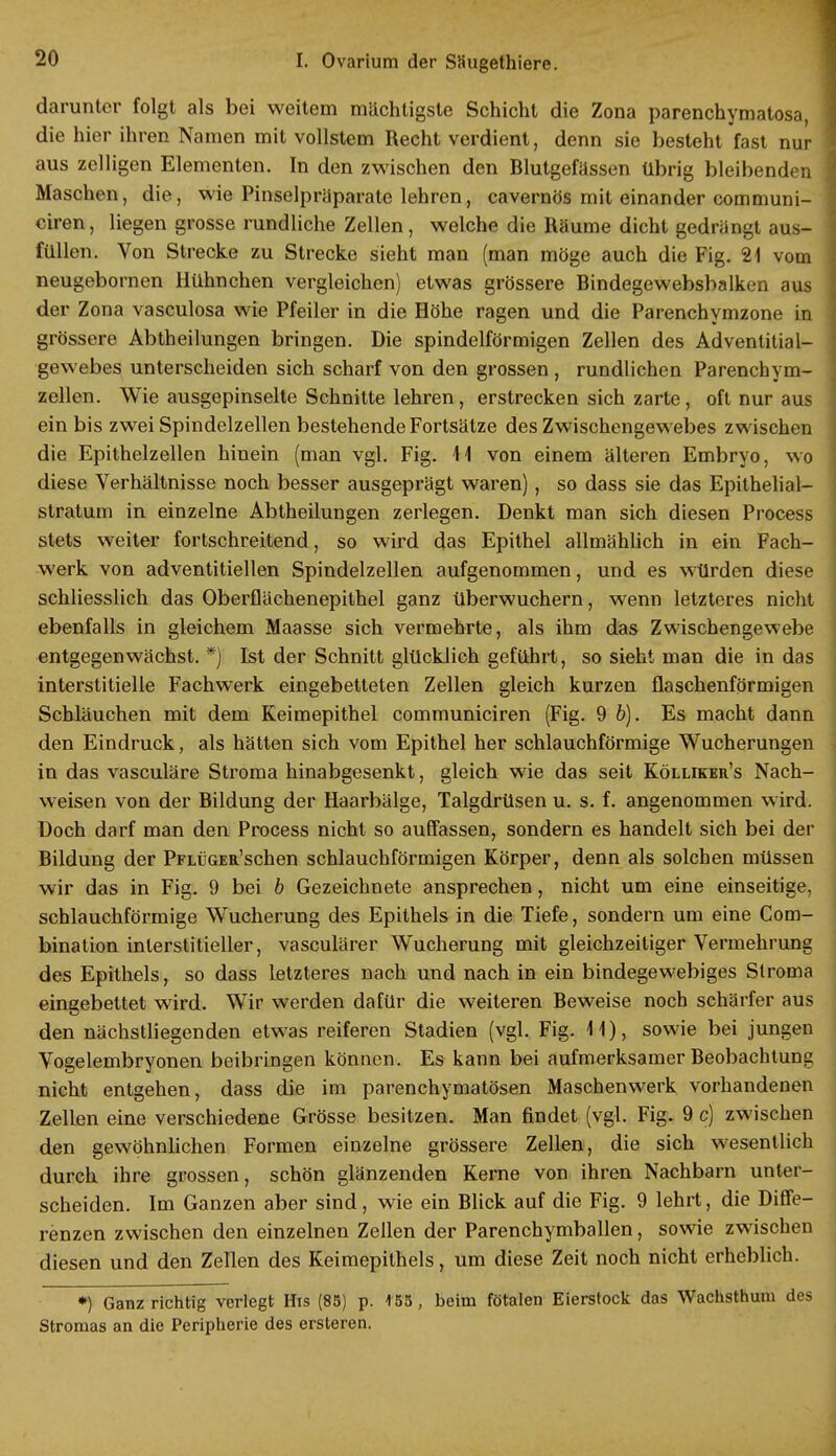 darunter folgt als bei weitem mächtigste Schicht die Zona parenchymatosa, die hier ihren Namen mit vollstem Recht verdient, denn sie besteht fast nur aus zelligen Elementen. In den zwischen den Blutgefässen übrig bleibenden Maschen, die, wie Pinselpräparate lehren, cavernös mit einander communi- ciren, liegen grosse rundliche Zellen, welche die Räume dicht gedrängt aus- füllen. Von Strecke zu Strecke sieht man (man möge auch die Fig. 21 vom neugebornen Hühnchen vergleichen) etwas grössere Bindegewebsbalken aus der Zona vasculosa wie Pfeiler in die Höhe ragen und die Parenchymzone in grössere Abtheilungen bringen. Die spindelförmigen Zellen des Advenlitial- gewebes unterscheiden sich scharf von den grossen , rundlichen Parenchym- zellen. Wie ausgepinselte Schnitte lehren, erstrecken sich zarte, oft nur aus ein bis zwei Spindelzellen bestehende Fortsätze des Zwischengewebes zwischen die Epithelzellen hinein (man vgl. Fig. 11 von einem älteren Embryo, wo diese Verhältnisse noch besser ausgeprägt waren), so dass sie das Epithelial— Stratum in einzelne Abtheilungen zerlegen. Denkt man sich diesen Process stets weiter fortschreitend, so wird das Epithel allmählich in ein Fach- werk von adventitiellen Spindelzellen aufgenommen, und es würden diese schliesslich das Oberflächenepithel ganz überwuchern, wenn letzteres nicht ebenfalls in gleichem Maasse sich vermehrte, als ihm das Zwischengewebe entgegen wächst. *) Ist der Schnitt glücklich geführt, so sieht man die in das interstitielle Fachwerk eingebetteten Zellen gleich kurzen flaschenförmigen Schläuchen mit dem Keimepithel communiciren (Fig. 9 b). Es macht dann den Eindruck, als hätten sich vom Epithel her schlauchförmige Wucherungen in das vasculäre Stroma hinabgesenkt, gleich wie das seit Kölliker's Nach- weisen von der Bildung der Haarbälge, Talgdrüsen u. s. f. angenommen wird. Doch darf man den Process nicht so auffassen, sondern es handelt sich bei der Bildung der PFLüGER'schen schlauchförmigen Körper, denn als solchen müssen wir das in Fig. 9 bei b Gezeichnete ansprechen, nicht um eine einseitige, schlauchförmige Wucherung des Epithels in die Tiefe, sondern um eine Com- bination interstitieller, vasculärer Wucherung mit gleichzeitiger Vermehrung des Epithels, so dass letzteres nach und nach in ein bindegewebiges Stroma eingebettet wird. Wir werden dafür die weiteren Beweise noch schärfer aus den nächstliegenden etwas reiferen Stadien (vgl. Fig. 11), sowie bei jungen Vogelembryonen beibringen können. Es kann bei aufmerksamer Beobachtung nicht entgehen, dass die im parenchymatösen Maschenwerk vorhandenen Zellen eine verschiedene Grösse besitzen. Man findet (vgl. Fig. 9 c) zwischen den gewöhnlichen Formen einzelne grössere Zellen, die sich wesentlich durch ihre grossen, schön glänzenden Kerne von ihren Nachbarn unter- scheiden. Im Ganzen aber sind, wie ein Blick auf die Fig. 9 lehrt, die Diffe- renzen zwischen den einzelnen Zeilen der Parenchymballen, sowie zwischen diesen und den Zellen des Keimepithels, um diese Zeit noch nicht erheblich. *) Ganz richtig verlegt His (85) p. 155, beim fötalen Eierstock das Wachsthum des Stromas an die Peripherie des ersteren.