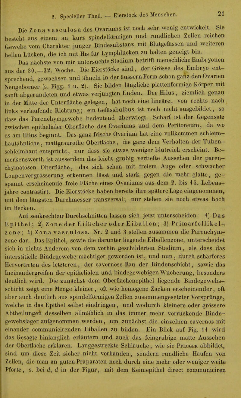 Die Z o n a v a s c u 1 o s a des Ovariums ist noch sehr wenig entwickelt. Sie besteht aus einem an kurz spindelförmigen und rundlichen Zellen reichen Gewebe vom Charakter junger Bindesubstanz mit Blutgefässen und weiteren hellen Lücken, die ich mit Iiis für Lymphlücken zu halten geneigt bin. Das nächste von mir untersuchte Stadium betrifft menschliche Embryonen aus der 30.—32. Woche. Die Eierstöcke sind, der Grösse des Embryo ent- sprechend, gewachsen und ähneln in der äussern Form schon ganz den Ovarien Neugeborner (s. Figg. 1 u. 2). Sie bilden längliche plattenförmige Körper mit sanft abgerundeten und etwas verjüngten Enden. Der Hilus, ziemlich genau in der Mitte der Unterfläche gelegen, hat noch eine lineäre, von rechts nach links verlaufende Richtung; ein Gefässbulbus ist noch nicht ausgebildet, so dass das Parenchymgewebe bedeutend überwiegt. Scharf ist der Gegensatz zwischen epithelialer Oberfläche des Ovariums und dem Peritoneum, da wo es am Hilus beginnt. Das ganz frische Ovarium hat eine vollkommen schleim- hautähnliche , mattgraurothe Oberfläche, die ganz dem Verhalten der Tuben- schleimhaut entspricht, nur dass sie etwas weniger blutreich erscheint. Be- merkenswerth ist ausserdem das leicht grubig vertiefte Aussehen der paren- chymatösen Oberfläche, das sich schon mit freiem Auge oder schwacher Loupenvergrösserung erkennen lässt und stark gegen die mehr glatte, ge- spannt erscheinende freie Fläche eines Ovariums aus dem 2. bis 15. Lebens- jahre contrastirt. Die Eierstöcke haben bereits ihre spätere Lage eingenommen, mit dem längsten Durchmesser transversal; nur stehen sie noch etwas hoch im Becken. Auf senkrechten-Durchschnitten lassen sich jetzt unterscheiden: 1) Das Epithel; 2) Zone der Eifächer oder Eiballen; 3) Primärfollikel- zone; 4) Zonavasculosa. Nr. 2 und 3 stellen zusammen die Parenchym- zone dar. Das Epithel, sowie die darunter liegende Eiballenzone, unterscheidet sich in nichts Anderem von dem vorhin geschilderten Stadium, als dass das interstitielle Bindegewebe mächtiger geworden ist, und nun, durch schärferes Hervortreten des letzteren, der cavernöse Bau der Rindenschicht, sowie das Ineinandergreifen der epithelialen und bindegewebigen Wucherung, besonders deutlich wird. Die zunächst dem Oberflächenepithel liegende Bindegewebs- schicht zeigt eine Menge kleiner, oft wie homogene Zacken erscheinender, oft aber auch deutlich aus spindelförmigen Zellen zusammengesetzter Vorsprünge, welche in das Epithel selbst eindringen, und wodurch kleinere oder grössere Abtheilungeh desselben allmählich in das immer mehr vorrückende Binde- gewebslager aufgenommen werden, um zunächst die einzelnen cavernös mit einander communicirenden Eiballen zu bilden. Ein Blick auf Fig. \\ wird das Gesagte hinlänglich erläutern und auch das feingrubige matte Aussehen der Oberfläche erklären. Langgestreckte Schläuche, wie sie Pflüger abbildet, sind um diese Zeit sicher nicht vorhanden, sondern rundliche Haufen von Zellen, die man an guten Präparaten noch durch eine mehr oder weniger weite Pforte, s. bei d, d in der Figur, mit dem Keimepithel direct communiciren