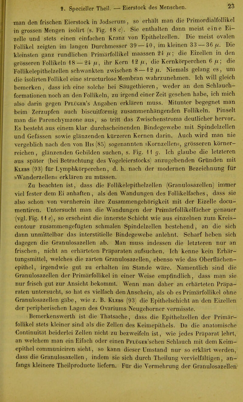 man den frischen Eierstock in Jodseruni, so erhält man die Primordialfollikel in grossen Mengen isolirt (s. Fig. 18c). Sie enthalten dann meist eine Ei- zelle und stets einen einfachen Kranz von Epithelzellen. Die meist ovalen Follikel zeigten im langen Durchmesser 39 — 40, im kleinen 33 — 36 ^. Die kleinsten ganz rundlichen Primärfollikel maassen 24 ^; die Eizellen in den grösseren Follikeln 18 — 24 jtt, ihr Kern 12 ft, die Kernkörperchen 6 fi\ die Follikelepithelzellen schwankten zwischen 8 —12 fi. Niemals gelang es, um die isolirten Follikel eine structurlose Membran wahrzunehmen. Ich will gleich bemerken, dass ich eine solche bei Säugethieren, weder an den Schlauch- formationen noch an den Follikeln, zu irgend einer Zeit gesehen habe, ich mich also darin gegen Pflüger's Angaben erklären muss. Mitunter begegnet man beim Zerzupfen auch biseuitförmig zusammenhängenden Follikeln. Pinselt man die Parenchymzone aus, so tritt das Zwischenstroma deutlicher hervor. Es besteht aus einem klar durchscheinenden Bindegewebe mit Spindelzellen und Gefässen sowie glänzenden kürzeren Kernen darin. Auch wird man nie vergeblich nach den von His (85) sogenannten »Kornzellen«, grösseren körner- reichen , glänzenden Gebilden suchen, s. Fig. 11 g. Ich glaube die letzteren aus später (bei Betrachtung des Vogeleierstocks) anzugebenden Gründen mit Klebs (93) für Lymphkörperchen, d. h. nach der modernen Bezeichnung für »Wanderzellen« erklären zu müssen. Zu beachten ist, dass die Follikelepithelzellen (Granulosazellen) immer viel fester dem Ei anhaften, als den Wandungen des Follikelfaches, dass sie also schon von vornherein ihre Zusammengehörigkeit mit der Eizelle docu- mentiren. Untersucht man die Wandungen der Primärfollikelfächer genauer (vgl. Fig. 11 e), so erscheint die innerste Schicht wie aus einzelnen zum Kreis- contour zusammengefügten schmalen Spindelzellen bestehend, an die sich dann unmittelbar das interstitielle Bindegewebe anlehnt. Scharf heben sich dagegen die Granulosazellen ab. Man muss indessen die letzteren nur an frischen, nicht an erhärteten Präparaten aufsuchen. Ich kenne kein Erhär- tungsmittel, welches die zarten Granulosazellen, ebenso wie das Oberflächen- epithel, irgendwie gut zu erhalten im Stande wäre. Namentlich sind die Granulosazellen der Primärfollikel in einer Weise empfindlich, dass man sie nur frisch gut zur Ansicht bekommt. Wenn man daher an erhärteten Präpa- raten untersucht, so hat es vielfach den Anschein, als ob es Primärfollikel ohne Granulosazellen gäbe, wie z. B. Klebs (93) die Epithelschicht an den Eizellen der peripherischen Lagen des Ovariums Neugeborner vermisste. Bemerkenswerth ist die Thatsache, dass die Epithelzellen der Primär- follikel stets kleiner sind als die Zellen des Keimepithels. Da die anatomische Continuität beiderlei Zellen nicht zu bezweifeln ist, wie jedes Präparat lehrt, an welchem man ein Eifach oder einen PFLÜGER'schen Schlauch mit dem Keim- epithel communiciren sieht, so kann dieser Umstand nur so erklärt werden, dass die Granulosazellen , indem sie sich durch Theilung vervielfältigen, an- fangs kleinere Theilproducte liefern. Für die Vermehrung der Granulosazellen