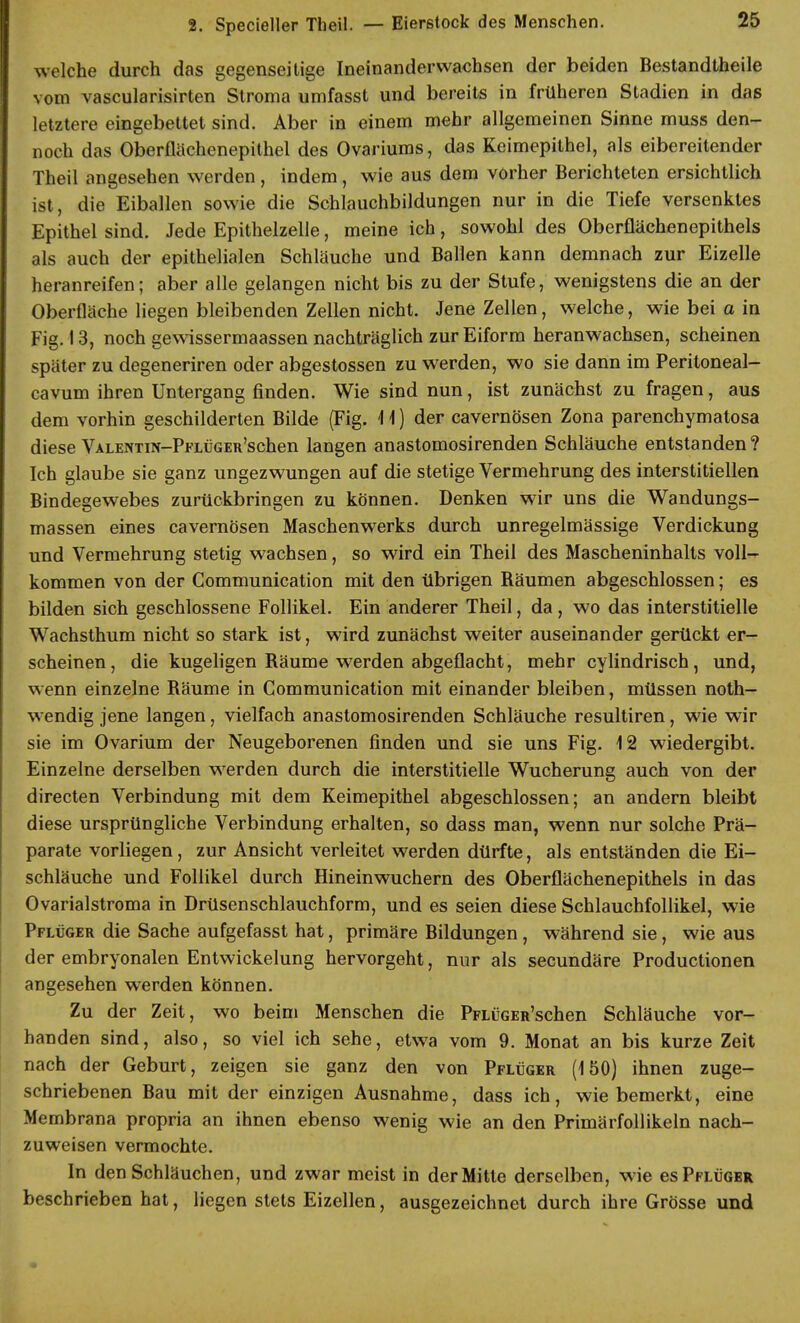 welche durch das gegenseitige Ineinanderwachsen der beiden Bestandteile vom vascularisirten Stroma umfasst und bereits in früheren Stadien in das letztere eingebettet sind. Aber in einem mehr allgemeinen Sinne muss den- noch das Oberflächenepithel des Ovariums, das Keimepithel, als eibereitender Theil angesehen werden, indem, wie aus dem vorher Berichteten ersichtlich ist, die Eiballen sowie die Schlauchbildungen nur in die Tiefe versenktes Epithel sind. Jede Epithelzelle, meine ich, sowohl des Oberflächenepithels als auch der epithelialen Schläuche und Ballen kann demnach zur Eizelle heranreifen; aber alle gelangen nicht bis zu der Stufe, wenigstens die an der Oberfläche liegen bleibenden Zellen nicht. Jene Zellen, welche, wie bei a in Fig. 13, noch gewissermaassen nachträglich zur Eiform heranwachsen, scheinen später zu degeneriren oder abgestossen zu werden, wo sie dann im Peritoneal- cavum ihren Untergang finden. Wie sind nun, ist zunächst zu fragen, aus dem vorhin geschilderten Bilde (Fig. *H) der cavernösen Zona parenchymatosa diese Valentin—PFLÜGEit'schen langen anastomosirenden Schläuche entstanden? Ich glaube sie ganz ungezwungen auf die stetige Vermehrung des interstitiellen Bindegewebes zurückbringen zu können. Denken wir uns die Wandungs- massen eines cavernösen Maschenwerks durch unregelmässige Verdickung und Vermehrung stetig wachsen, so wird ein Theil des Mascheninhalts voll- kommen von der Gommunication mit den übrigen Bäumen abgeschlossen; es bilden sich geschlossene Follikel. Ein anderer Theil, da , wo das interstitielle Wachsthum nicht so stark ist, wird zunächst weiter auseinander gerückt er- scheinen, die kugeligen Bäume werden abgeflacht, mehr cylindrisch, und, wenn einzelne Bäume in Gommunication mit einander bleiben, müssen noth- wendig jene langen, vielfach anastomosirenden Schläuche resultiren, wie wir sie im Ovarium der Neugeborenen finden und sie uns Fig. 12 wiedergibt. Einzelne derselben werden durch die interstitielle Wucherung auch von der directen Verbindung mit dem Keimepithel abgeschlossen; an andern bleibt diese ursprüngliche Verbindung erhalten, so dass man, wenn nur solche Prä- parate vorliegen, zur Ansicht verleitet werden dürfte, als entständen die Ei- schläuche und Follikel durch Hineinwuchern des Oberflächenepithels in das Ovarialstroma in Drüsen schlauchform, und es seien diese Schlauchfollikel, wie Pflüger die Sache aufgefasst hat, primäre Bildungen, während sie, wie aus der embryonalen Entwickelung hervorgeht, nur als secundäre Productionen angesehen werden können. Zu der Zeit, wo beim Menschen die PFLüGER'schen Schläuche vor- handen sind, also, so viel ich sehe, etwa vom 9. Monat an bis kurze Zeit nach der Geburt, zeigen sie ganz den von Pflüger (150) ihnen zuge- schriebenen Bau mit der einzigen Ausnahme, dass ich, wie bemerkt, eine Membrana propria an ihnen ebenso wenig wie an den Primärfollikeln nach- zuweisen vermochte. In den Schläuchen, und zwar meist in der Mitte derselben, wie es Pflüger beschrieben hat, liegen stets Eizellen, ausgezeichnet durch ihre Grösse und