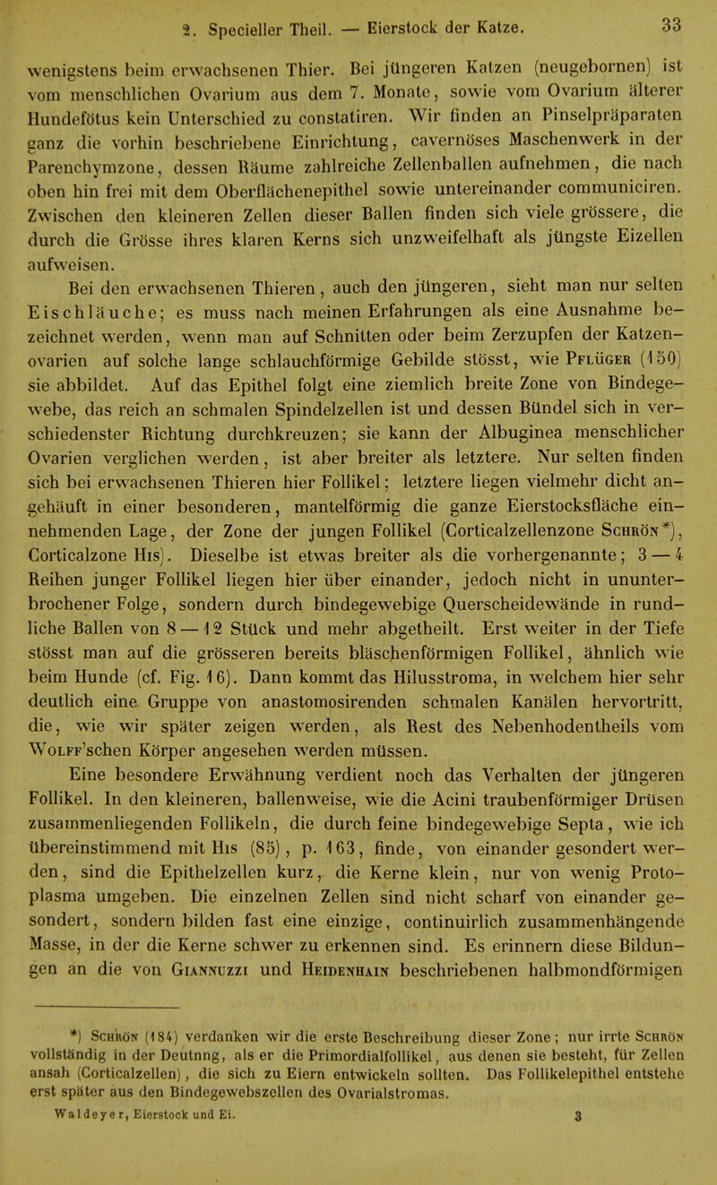 wenigstens beim erwachsenen Thier. Bei jüngeren Katzen (neugebornen) ist vom menschlichen Ovarium aus dem 7. Monate, sowie vom Ovarium älterer Hundefötus kein Unterschied zu constatiren. Wir finden an Pinselpräparaten ganz die vorhin beschriebene Einrichtung, cavernöses Maschenwerk in der Parenchymzone, dessen Räume zahlreiche Zellenballen aufnehmen, die nach oben hin frei mit dem Oberflächenepithel sowie untereinander communiciren. Zwischen den kleineren Zellen dieser Ballen finden sich viele grössere, die durch die Grösse ihres klaren Kerns sich unzweifelhaft als jüngste Eizellen aufweisen. Bei den erwachsenen Thieren , auch den jüngeren, sieht man nur selten Eisenläuche; es muss nach meinen Erfahrungen als eine Ausnahme be- zeichnet werden, wenn man auf Schnitten oder beim Zerzupfen der Katzen- ovarien auf solche lange schlauchförmige Gebilde stösst, wie Pflüger (150) sie abbildet. Auf das Epithel folgt eine ziemlich breite Zone von Bindege- webe, das reich an schmalen Spindelzellen ist und dessen Bündel sich in ver- schiedenster Richtung durchkreuzen; sie kann der Albuginea menschlicher Ovarien verglichen werden, ist aber breiter als letztere. Nur selten finden sich bei erwachsenen Thieren hier Follikel; letztere liegen vielmehr dicht an- gehäuft in einer besonderen, mantelförmig die ganze Eierstocksfläche ein- nehmenden Lage, der Zone der jungen Follikel (Corticalzellenzone Schrön*), Corticalzone His). Dieselbe ist etwas breiter als die vorhergenannte; 3 — 4 Reihen junger Follikel liegen hier über einander, jedoch nicht in ununter- brochener Folge, sondern durch bindegewebige Querscheidewände in rund- liche Ballen von 8 —12 Stück und mehr abgetheilt. Erst weiter in der Tiefe stösst man auf die grösseren bereits bläschenförmigen Follikel, ähnlich wie beim Hunde (cf. Fig. 16). Dann kommt das Hilusstroma, in welchem hier sehr deutlich eine Gruppe von anastomosirenden schmalen Kanälen hervortritt, die, wie wir später zeigen werden, als Rest des Nebenhodentheils vom WoLFF'schen Körper angesehen werden müssen. Eine besondere Erwähnung verdient noch das Verhalten der jüngeren Follikel. In den kleineren, ballenweise, wie die Acini traubenförmiger Drüsen zusammenliegenden Follikeln, die durch feine bindegewebige Septa, wie ich übereinstimmend mit His (85), p. 163, finde, von einander gesondert wer- den , sind die Epithelzellen kurz, die Kerne klein, nur von wenig Proto- plasma umgeben. Die einzelnen Zellen sind nicht scharf von einander ge- sondert , sondern bilden fast eine einzige, continuirlich zusammenhängende Masse, in der die Kerne schwer zu erkennen sind. Es erinnern diese Bildun- gen an die von Giannuzzi und Heidenhain beschriebenen halbmondförmigen *) Schrön (184) verdanken wir die erste Beschreibung dieser Zone; nur irrte Schrön vollständig in der Deutnng, als er die Primordialfollikel, aus denen sie besteht, für Zellen ansah (Corticalzellen), die sich zu Eiern entwickeln sollten. Das Follikelepithel entstehe erst später aus den Bindegewebszellen des Ovarialstromas. Wa 1 dey e r, Eierstock und Ei. 3