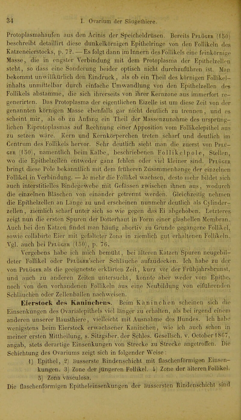 Protoplasmahaufen aus den Acinis der Speicheldrüsen. Bereits Pflüger (150} beschreibt detaillirt diese dunkelkörnigen Epithelringe von den Follikeln des Katzeneierstocks, p, 7?.—Es folgt dann im Innern des Follikels eine feinkörnige Masse, die in engster Verbindung mit dem Protoplasma der Epithelzellon steht, so dass eine Sonderung beider optisch nicht durchzuführen ist. Man bekommt unwillkürlich den Eindruck, als ob ein Theil des körnigen Follikel— inhalts unmittelbar durch einfache Umwandlung von den Epithelzellen des Follikels abstamme, die sich ihrerseits von ihrer Kernzone aus immerfort re- generirten. Das Protoplasma der eigentlichen Eizelle ist um diese Zeit von der genannten körnigen Masse ebenfalls gar nicht deutlich zu trennen , und es scheint mir, als ob zu Anfang ein Theil der Massenzunahme des ursprüng- lichen Eiproloplasmas auf Rechnung einer Apposition vom Follikelepithel aus zu setzen wäre. Kern und Kernkörperchen treten scharf und deutlich im Centrum des Follikels hervor. Sehr deutlich sieht man die zuerst von Pflü- ger (1501, namentlich beim Kalbe, beschriebenen Follikelpole, Stellen, wo die Epithelzellen entweder ganz fehlen oder viel kleiner sind. Pflü<;i;r bringt diese Pole bekanntlich mit dem früheren Zusammenhang!:' der einzelnen Follikel in Verbindung. —Je mehr die Follikel wachsen, desto mehr bildet si.cn auch interstitielles Bindegewebe mit Gefässen zwischen ihnen aus, wodurch die einzelnen Bläschen von einander getrennt werden. Gleichzeitig nehmen die Epithelzellen an Länge zu und erscheinen nunmehr deutlich als Cylinder- zellen, ziemlich scharf unter sich sowie gegen das Ei abgehoben. Letzteres zeigt nun die ersten Spuren der Dotterhaut in Form einer glashellen Membran. Auch bei den Katzen findet man häufig abortiv zu Grunde gegangene Follikel, sowie collabirte Eier mit gefalteter Zona in ziemlich gut erhaltenen Follikeln. Vgl. auch bei Pflüger (150), p. 76. Vergebens habe ich mich bemüht, bei älteren Katzen Spuren neugebil- deter Follikel oder PflügeR'scher Schläuche aufzudecken. Ich habe zu der von Pflüger als die geeignetste erklärten Zeit, kurz vor der Frühjahrsbrunst, und auch zu anderen Zeiten untersucht, konnte aber weder vom Epithe, noch von den vorhandenen Follikeln aus eine Neubildung von efmhrenderi Schläuchen oder Zellenballen nachweisen. Eierstock des Kaninchens. Beim Kaninchen scheinen sich nie Einsenkungen des Ovarialepithels viel länger zu erhalten, als bei irgend einem anderen unserer Hausthiere, vielleicht mit Ausnahme des Hundes. Ich hab • wenigstens beim Eierstock erwachsener Kaninchen, wie ich auch schon in meiner ersten Mittheilung, s. Sitzgsber. der Schles. Gesellsch. v. October 1 8G7, angab, stets derartige Einsenkungen von Strecke zu Strecke angetroffen. Die Schichtung des Ovariums zeigt sich in folgender Weise : 1) Epithel, 2) äusserste Rindenschicht mit flaschenförmigon Einsen- kungen. 3) Zone der jüngeren Follikel. 4) Zone der älteren Follikel. 5) Zon'ä vasculosa. Die flaschenförmigon Epitheleinsenkungen der äussersten Rindenschicht sind