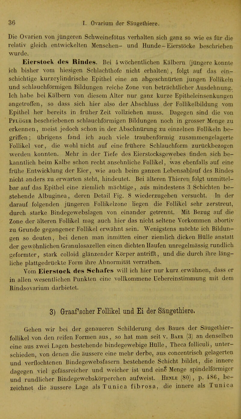 Die Ovarien von jüngeren Schweinefötus verhalten sich ganz so wie es für die relativ gleich entwickelten Menschen- und Hunde - Eierstöcke beschrieben wurde. Eierstock des Rindes. Bei 4 wöchentlichen Kälbern (jüngere konnte ich bisher vom hiesigen Schlachthofe nicht erhalten) , folgt auf das ein- schichtige kurzcylindrische Epithel eine an abgeschnürten jungen Follikeln und schlauchförmigen Bildungen reiche Zone von beträchtlicher Ausdehnung. Ich habe bei Kalbern von diesem Alter nur ganz kurze Epitheleinsenkungen angetroffen, so dass sich hier also der Abschluss der Follikelbildung vom Epithel her bereits in früher Zeit vollziehen muss. Dagegen sind die von Pflüger beschriebenen schlauchförmigen Bildungen noch in grosser Menge zu erkennen, meist jedoch schon in der Abschnürung zu einzelnen Follikeln be- griffen ; übrigens fand ich auch viele traubenförmig zusammengelagerte Follikel vor, die wohl nicht auf eine frühere Schlauchform zurückbezogen werden konnten. Mehr in der Tiefe des Eierstocksgewebes finden sich be- kanntlich beim Kalbe schon recht ansehnliche Follikel, was ebenfalls auf eine frühe Entwicklung der Eier, wie auch beim ganzen Lebensablauf des Rindes nicht anders zu erwarten steht, hindeutet. Bei älteren Thieren folgt unmittel- bar auf das Epithel eine ziemlich mächtige, aus mindestens 3 Schichten be- stehende Albuginea, deren Detail Fig. 8 wiederzugeben versucht. In der darauf folgenden jüngeren Follikelzone liegen die Follikel sehr zerstreut, durch starke Bindegewebslagen von einander getrennt. Mit Bezug auf die Zone der älteren Follikel mag auch hier das nicht seltene Vorkommen abortiv zu Grunde gegangener Follikel erwähnt sein. Wenigstens möchte ich Bildun- gen so deuten, bei denen man inmitten einer ziemlich dicken Hülle anstatt der gewöhnlichen Granulosazellen einen dichten Haufen unregelmässig rundlich geformter, stark colloid glänzender Körper antrifft, und die durch ihre läng- liche plattgedrückte Form ihre Abnormität verrathen. Vom Eierstock des Schafes will ich hier nur kurz erwähnen, dass er in allen wesentlichen Punkten eine vollkommene Uebereinstimmung mit dem Rindsovarium darbietet. 3) Graafscher Follikel und Ei der Säugethiere. Gehen wir bei der genaueren Schilderung des Baues der Säugethier- follikel von den reifen Formen aus, so hat man seit v. Baer (3) an denselben eine aus zwei Lagen bestehende bindegewebige Hülle, Theca folliculi, unter- schieden, von denen die äussere eine mehr derbe, aus concentrisch gelagerten und verflochtenen Bindegewebsfasern bestehende Schicht bildet, die innere dagegen viel gefässreicher und weicher ist und eine* Menge spindelförmiger und rundlicher Bindegewebskörperchen aufweist. Henle (80) , p. 486, be- zeichnet die äussere Lage alsTunica fibrosa, die innere als Tunica