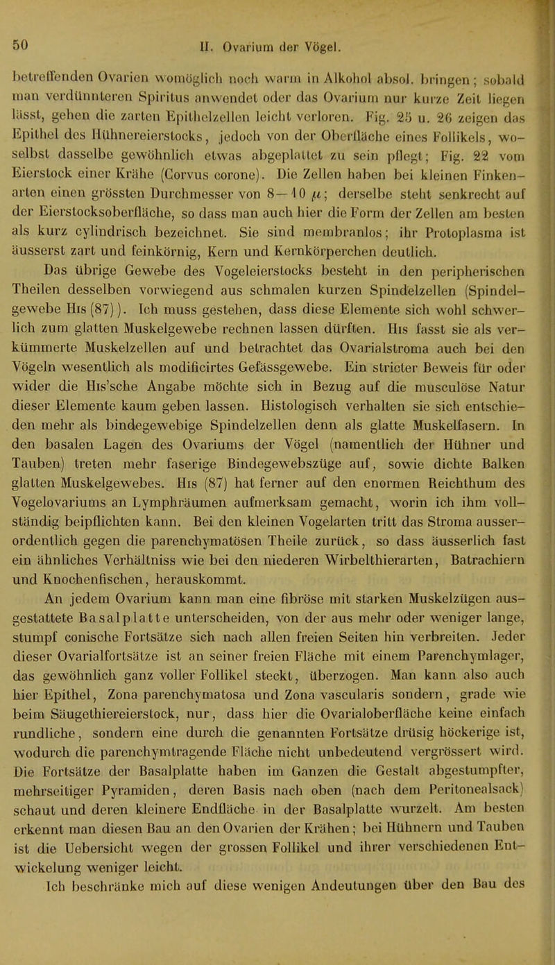 betreffenden Ovarien womöglich noch wann in Alkohol absol. bringen; sobald man verdünnleren Spiritus anwendet oder das Ovarium nur kurze Zeit liegen lässt, gehen die zarten Epithelzellen leicht verloren. Fig. 25 u. 26 zeigen das Epithel des Hühnei eierslocks, jedoch von der Oberfläche eines Follikels, wo- selbst dasselbe gewöhnlich etwas abgeplattet zu sein pflegt; Fig. 22 vom Eierstock einer Krähe (Gorvus corone). Die Zellen haben bei kleinen Finken- arten einen grössten Durchmesser von 8—10 /.i ; derselbe steht senkrecht auf der Eierstocksoberfläche, so dass man auch hier die Form der Zellen am besten als kurz cylindrisch bezeichnet. Sie sind membranlos; ihr Protoplasma ist äusserst zart und feinkörnig, Kern und Kernkörperchen deutlich. Das übrige Gewebe des Vogeleierstocks besteht in den peripherischen Theilen desselben vorwiegend aus schmalen kurzen Spindelzellen (Spindel- gewebe His (87)). Ich muss gestehen, dass diese Elemente sich wohl schwer- lich zum glatten Muskelgewebe rechnen lassen dürften. His fasst sie als ver- kümmerte Muskelzellen auf und betrachtet das Ovarialstroma auch bei den Vögeln wesentlich als modificirtes Gefässgewebe. Ein slricter Beweis für oder wider die His'sche Angabe möchte sich in Bezug auf die musculöse Natur dieser Elemente kaum geben lassen. Histologisch verhalten sie sich entschie- den mehr als bindegewebige Spindelzellen denn als glatte Muskelfasern. In den basalen Lagen des Ovariums der Vögel (namentlich der Hühner und Tauben) treten mehr faserige Bindegewebszüge auf, sowie dichte Balken glatten Muskelgewebes. His (87) hat ferner auf den enormen Beichthum des Vogelovariums an Lymphräumen aufmerksam gemacht, worin ich ihm voll- ständig beipflichten kann. Bei den kleinen Vogelarten tritt das Stroma ausser- ordentlich gegen die parenchymatösen Theile zurück, so dass äusserlich fast ein ähnliches Verhältniss wie bei den niederen Wirbelthierarten, Batrachiern und Knochenfischen, herauskommt. An jedem Ovarium kann man eine fibröse mit starken Muskelzügen aus- gestattete Basalplatte unterscheiden, von der aus mehr oder weniger lange, stumpf conische Fortsätze sich nach allen freien Seiten hin verbreiten. Jeder dieser Ovarialfortsätze ist an seiner freien Fläche mit einem Parenchymlager, das gewöhnlich ganz voller Follikel steckt, überzogen. Man kann also auch hier Epithel, Zona parenchymatosa und Zona vascularis sondern, grade wie beim Säugethiereierstock, nur, dass hier die Ovarialoberfläche keine einfach rundliche, sondern eine durch die genannten Fortsätze drüsig höckerige ist, wodurch die parenchymtragende Fläche nicht unbedeutend vergrössrrt wird. Die Fortsätze der Basalplatte haben im Ganzen die Gestalt abgestumpfter, mehrseitiger Pyramiden, deren Basis nach oben (nach dem Peritonealsaek schaut und deren kleinere Endfläche in der Basalplatte wurzelt. Am besten erkennt man diesen Bau an den Ovarien der Krähen; bei Hühnern und Tauben ist die Uebersicht wegen der grossen Follikel und ihrer verschiedenen Kni- wickelung weniger leicht. Ich beschränke mich auf diese wenigen Andeutungen über den Bau des