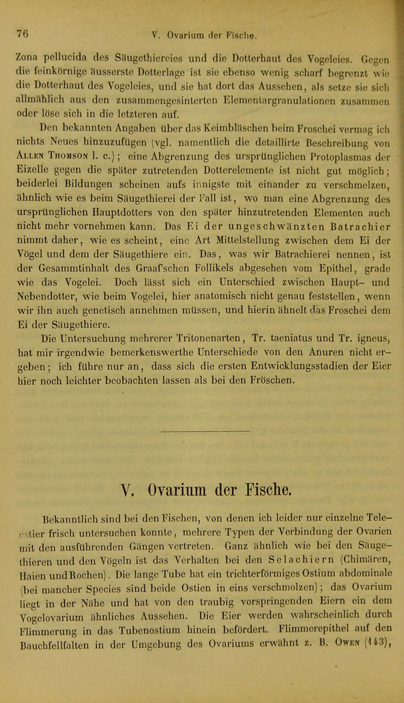 Zona pellucida des Säugethiercies und die Dotterhaut des Vogeleies. Gegen die feinkörnige äusserste Dotterlage ist sie ebenso wenig scharf begrenzt wie die Dotterhaut des Vogeleies, und sie hat dort das Aussehen, als setze sie sich allmählich aus den zusammengesinterten Elementargranulationen zusammen oder löse sich in die letzteren auf. Den bekannten Angaben über das Keimbläschen beim Froschei vermag ich nichts Neues hinzuzufügen (vgl. namentlich die detaillirle Beschreibung von Allen Thomson 1. c.); eine Abgrenzung des ursprünglichen Protoplasmas der Eizelle gegen die später zutretenden Dotterelemente ist nicht gut möglich; beiderlei Bildungen scheinen aufs innigste mit einander zu verschmelzen, ähnlich wie es beim Säugethierei der Fall ist, wo man eine Abgrenzung des ursprünglichen Hauptdotters von den später hinzutretenden Elementen auch nicht mehr vornehmen kann. Das Ei der ungeschwänzten Batrachier nimmt daher, wie es scheint, eine Art Mittelstellung zwischen dem Ei der Vögel und dem der Säugethiere ein. Das, was wir Batrachierei nennen, ist der Gesammtinhalt des Graafschen Follikels abgesehen vom Epithel, grade wie das Vogelei. Doch lässt sich ein Unterschied zwischen Haupt- und Nebendotter, wie beim Vogelei, hier anatomisch nicht genau feststellen, wenn wir ihn auch genetisch annehmen müssen, und hierin ähnelt das Froschei dem Ei der Säugethiere. Die Untersuchung mehrerer Tritonenarten, Tr. taeniatus und Tr. igneus, hat mir irgendwie bemerkenswerthe Unterschiede von den Anuren nicht er- geben; ich führe nur an, dass sich die ersten Entwicklungsstadien der Eier hier noch leichter beobachten lassen als bei den Fröschen. V. Ovarium der Fische. Bekanntlich sind bei den Fischen, von denen ich leider nur einzelne Tele- r: der frisch untersuchen konnte, mehrere Typen der Verbindung der Ovarien mit den ausführenden Gängen vertreten. Ganz ähnlich wie bei den Säuge- Ihieren und den Vögeln ist das Verhalten bei den Selachiern (Chimären, Haien und Bochen). Die lange Tube hat ein trichterförmiges Ostium abdominale (bei mancher Species sind beide Ostien in eins verschmolzen); das Ovarium liegt in der Nähe und hat von den traubig vorspringenden Eiern ein dem Vogelovarium ähnliches Aussehen. Die Eier werden wahrscheinlich durch Flimmerung in das Tubenostium hinein befördert. Flimmerepithel auf den Bauchfellfalten in der Umgebung des Ovariums erwähnt z. B. Owen (143),