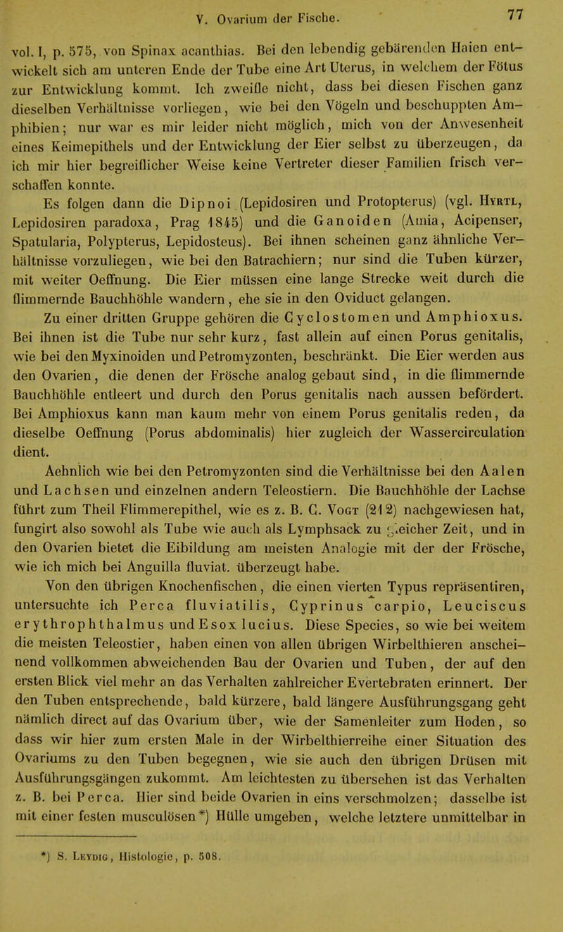 vol. I, p. 575, von Spinax acanthias. Bei den lebendig gebärenden Haien ent- wickelt sich am unteren Ende der Tube eine Art Uterus, in welchem der Fötus zur Entwicklung kommt. Ich zweiOe nicht, dass bei diesen Fischen ganz dieselben Verhältnisse vorliegen, wie bei den Vögeln und beschuppten Am- phibien ; nur war es mir leider nicht möglich, mich von der Anwesenheit eines Keimepithels und der Entwicklung der Eier selbst zu überzeugen, da ich mir hier begreiflicher Weise keine Vertreter dieser Familien frisch ver- schaffen konnte. Es folgen dann die Dipnoi.(Lepidosiren und Protopterus) (vgl. Hyrtl, Lepidosiren paradoxa, Prag 1845) und die Ganoiden (Amia, Acipenser, Spatularia, Polypterus, Lepidosteus). Bei ihnen scheinen ganz ähnliche Ver- hältnisse vorzuliegen, wie bei den Batrachiern; nur sind die Tuben kürzer, mit weiter Oeffnung. Die Eier müssen eine lange Strecke weit durch die flimmernde Bauchhöhle wandern, ehe sie in den Oviduct gelangen. Zu einer dritten Gruppe gehören die Cyclostomen und Amphioxus. Bei ihnen ist die Tube nur sehr kurz, fast allein auf einen Poms genitalis, wie bei den Myxinoiden und Petromyzonten, beschränkt. Die Eier werden aus den Ovarien, die denen der Frösche analog gebaut sind, in die flimmernde Bauchhöhle entleert und durch den Porus genitalis nach aussen befördert. Bei Amphioxus kann man kaum mehr von einem Porus genitalis reden, da dieselbe Oeffnung (Porus abdominalis) hier zugleich der Wassercirculation dient. Aehnlich wie bei den Petromyzonten sind die Verhältnisse bei den Aalen und Lachsen und einzelnen andern Teleostiern. Die Bauchhöhle der Lachse führt zum Theil Flimmerepithel, wie es z. B. G. Vogt (212) nachgewiesen hat, fungirt also sowohl als Tube wie auch als Lymphsack zu Reicher Zeit, und in den Ovarien bietet die Eibildung am meisten Analogie mit der der Frösche, wie ich mich bei Anguilla fluviat. überzeugt habe. Von den übrigen Knochenfischen, die einen vierten Typus repräsentiren, untersuchte ich Perca fluviatilis, Cyprinus carpio, Leuciscus erythrophthalmus undEsox lucius. Diese Species, so wie bei weitem die meisten Teleostier, haben einen von allen übrigen Wirbelthieren anschei- nend vollkommen abweichenden Bau der Ovarien und Tuben, der auf den ersten Blick viel mehr an das Verhalten zahlreicher Evertebraten erinnert. Der den Tuben entsprechende, bald kürzere, bald längere Ausführungsgang geht nämlich direct auf das Ovarium über, wie der Samenleiter zum Hoden, so dass wir hier zum ersten Male in der Wirbelthierreihe einer Situation des Ovariums zu den Tuben begegnen, wie sie auch den übrigen Drüsen mit Ausführungsgängen zukommt. Am leichtesten zu übersehen ist das Verhallen z. B. bei Perca. Hier sind beide Ovarien in eins verschmolzen; dasselbe ist mit einer festen musculösen*) Hülle umgeben, welche letztere unmittelbar in *) S. Leydig, Histologie, p. 508.