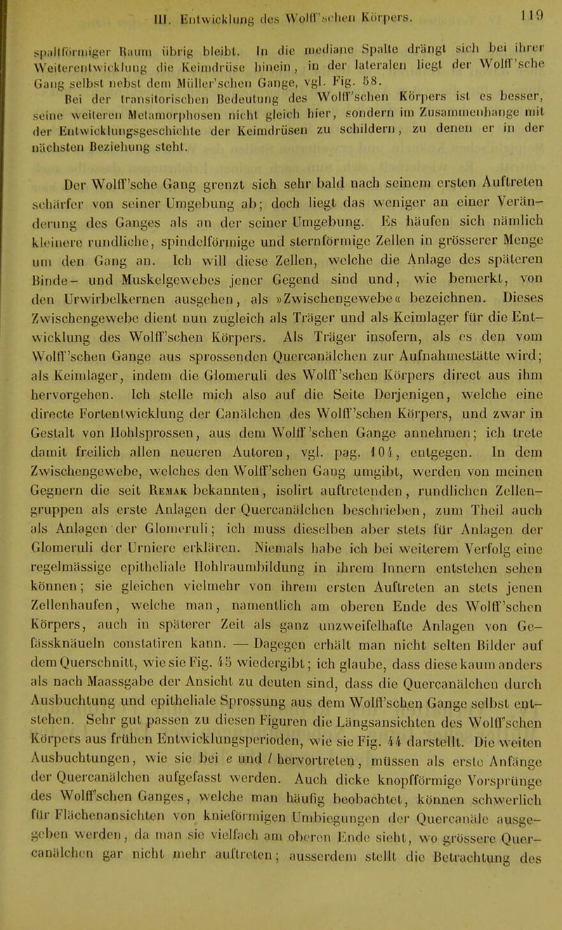 spailföriuiger Kaum übrig bleibt. In die mediane Spalte drängt sieb bei ihrer Weiterentwicklung die Keimdrüse hin.ejp, in der lateralen liegt der Wolfl'sche Giiiig selbst nebsi dem Müller'schen Gange, vgl. Fig. 58. Bei der transitorischen Bedeutung des Wolff'schen Körpers ist es besser, seine weiteren Metamorphosen nicht gleich hier, sondern im Zusammenbände mit deF Entwicklungsgeschichte der Keimdrüsen zu schildern, zu denen er in der nächsten Beziehung siebt. Der Wolff'sche Gang grenzt sich sehr bald nach seinem ersten Auftreten scharfer von seiner Umgebung ab; doch liegt das weniger an einer Verän- derung des Ganges als an der seiner Umgebung. Es häufen sich nämlich kleinere rundliche, spindelförmige und sternförmige Zellen in grösserer Menge um den Gang an. Ich will diese Zellen, welche die Anlage des späteren Binde- und Muskelgewebes jener Gegend sind und, wie bemerkt, von den Urvvirbelkernen ausgehen, als »Zwischengewebe« bezeichnen. Dieses Zw isehengevvebc dient nun zugleich als Träger und als Keimlager für die Ent- vsieklung des Wolff'schen Körpers. Als Träger insofern, als es den vom WollT'schen Gange aus sprossenden Quercanälchen zur Aufnahmestätte wird; als Keimlager, indem die Glomcruli des Wolff'schen Körpers direct aus ihm hervorgehen. Ich stelle mich also auf die Seite Derjenigen, welche eine directe Fortentwicklung der Canälchen des Wolff'schen Körpers, und zwar in Gestalt von Hohlsprossen, aus dem Wolff'schen Gange annehmen; ich trete damit freilich allen neueren Autoren, vgl. pag. 10'/, entgegen. In dem Zwischengewebc, welches den Wolff'schen Gang umgibt, werden von meinen Gegnern die seit Remak bekannten, isolirt auftretenden , rundlichen Zellen- gruppen als erste Anlagen der Quercanälchen beschrieben, zum Theil auch als Anlagen der Glomcruli; ich muss dieselben aber stets für Anlagen der Glomeruli der Urnierc erklären. Niemals habe ich bei weiterem Verfolg eine regelmässige epitheliale Hohlraumbildung in ihrem Innern entstehen sehen können; sie gleichen vielmehr von ihrem ersten Auftreten an stets jenen Zellenhaufen, welche man, namentlich am oberen Ende des Wolff'schen Körpers, auch in späterer Zeit als ganz unzweifelhafte Anlagen von Ge- fässknäueln conslatiren kann. — Dagegen erhält man nicht selten Bilder auf dem Querschnitt, wie sie Fig. 45 wiedergibt; ich glaube, dass diese kaum anders als nach Maassgabe der Ansicht zu deuten sind, dass die Quercanälchen durch Ausbuchtung und epitheliale Sprossung aus dem Wolff'schen Gange selbst ent- stehen. Sehr gut passen zu diesen Figuren die Längsansichten des Wolff'schen Körpers aus frühen Entwicklungsperioden, wie sie Fig. ii darstellt. Die weiten Ausbuchtungen, wie sie bei e und / hervortreten, müssen als erste Anfänge der Quercanälchen aufgefassl werden. Auch dicke knopfförmige Vorsprünge« des Wollfsehen Ganges, welche man häufig beobachtet, können schwerlich für l'I.K heiKinsielilen von knielbnnigen l'mbiegungen der Quercanäle ausge- geben werden, da man sie vielfach am oberen Ende sieht, wo grössere Quer- canälchr,, gar nicht mehr auftreten.; ausserdem stellt die Betrachtung des