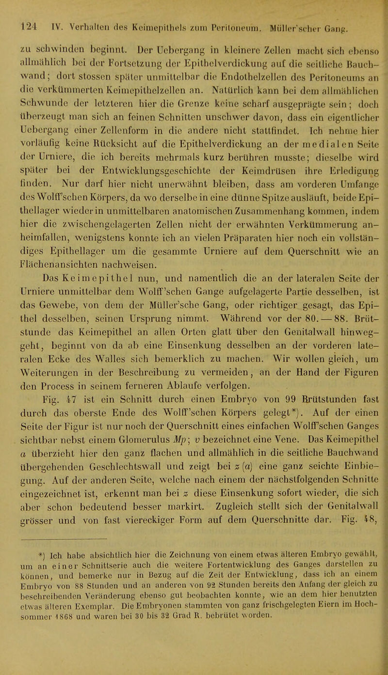 zu schwinden beginnt. Der Uebergang in kleinere Zellen macht sieh ebenso allmählich bei der Fortsetzung der Epithelverdickung auf die seitliche Bauch- wand; dort stossen später unmittelbar die Kndolhelzellen des Peritoneums an die verkümmerten Keimepilhelzellen an. Natürlich kann bei dein allmählichen Schwunde der letzteren hier die Grenze keine scharf ausgeprägte sein; doch (Iberzeugt man sich an feinen Schnitten unschwer davon, dass ein eigentlicher Uebergang einer Zellenform in die andere nicht stattfindet. Ich nehme hier vorläufig keine Rücksicht auf die Epithelverdickung an der medialen Seile der Urniere, die ich bereits mehrmals kurz berühren musste; dieselbe wird später bei der Entwicklungsgeschichte der Keimdrüsen ihre Erledigung linden. Nur darf hier nicht unerwähnt bleiben, dass am vorderen Umfange des Wolff'schen Körpers, da wo derselbe in eine dünne Spitze ausläuft, beide Epi- thellager wieder in unmittelbaren anatomischen Zusammenhang kommen, indem hier die zwischengclagerten Zellen nicht der erwähnten Verkümmerung an- heimfallen, wenigstens konnte ich an vielen Präparaten hier noch ein vollstän- diges Epilhellager um die gesammte Urniere auf dem Querschnitt wie an Flächenansichten nachweisen. Das Keirnepithel nun, und namentlich die an der lateralen Seite der Urniere unmittelbar dem Wolff'schen Gange aufgelagerte Partie desselben, ist das Gewebe, von dem der Müller'sche Gang, oder richtiger gesagt, das Epi- thel desselben, seinen Ursprung nimmt. Während vor der 80. — 88. Brüt- stunde das Keirnepithel an allen Orlen glatt über den Genitalwall hinweg- geht, beginnt von da ab eine Einsenkung desselben an der vorderen late- ralen Ecke des Walles sich bemerklich zu machen. Wir wollen gleich, um Weiterungen in der Beschreibung zu vermeiden, an der Hand der Figuren den Process in seinem ferneren Ablaufe verfolgen. Fig. 47 ist ein Schnitt durch einen Embryo von 99 Brütstunden fast durch das oberste Ende des Wolff'schen Körpers gelegt*). Auf der einen Seite der Figur ist nur noch der Querschnitt eines einfachen Wolff'schen Ganges sichtbar nebst einem Glomerulus Mp; v bezeichnet eine Vene. Das Keirnepithel a überzieht hier den ganz flachen und allmählich in die seilliche Bauchwand übergehenden Geschlechtswall und zeigt bei z (a) eine ganz seichte Einbie- gung. Auf der anderen Seite, welche nach einem der nächstfolgenden Schnitte eingezeichnet ist, erkennt man bei z diese Einsenkung sofort wieder, die sich aber schon bedeutend besser markirt. Zugleich stellt sich der Genitalwall grösser und von fast viereckiger Form auf dem Querschnitte dar. Fig. 4 8, *) Ich habe absichtlich hier die Zeichnung von einem etwas älteren Embryo gewählt, um an einer Schnittserie auch die weitere Forlentwicklung des Ganges darstellen zu können, und bemerke nur in Bezug auf die Zeit der Entwicklung, dass ich an einem Embryo von 88 Stunden und an anderen von 92 Stunden bereits den Anfang der gleich zu beschreibenden Veränderung ebenso gut beobachten konnte, wie an dem hier benutzten etwas älteren Exemplar. Die Embryonen stammten von ganz frischgclegten Eiern im Hoch- sommer 4 868 und waren bei 30 bis 32 Grad R. bebrütet worden.