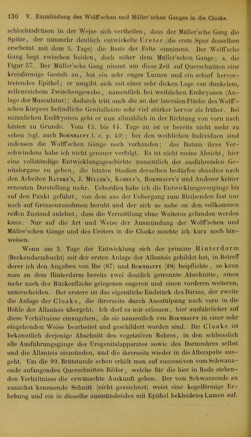 schlochtsdrüsen in der Weise sich vertheilen, dass der Müller'sche Gang die Spitze, der nunmehr deutlich entwickelte Ureter (die erste Spur desselben erscheint mit dem 5. Tage) die Basis der Falte einnimmt. Der Wölpsche Gang liegt zwischen beiden, doch näher dem Müller'schen Gange; s. die Figur 57. Der Müller'sche Gang nimmt um diese Zeit auf Querschnitten eine kreisförmige Gestalt an, hat ein sehr enges Lumen und ein scharf hervor- tretendes Epithel; er umgibt sich mit einer sehr dicken Lage von dunkeien», zellenreichem Zwischengewebe, namentlich bei weiblichen Embryonen (An- lage der Musculatur); dadurch tritt auch die an der lateralen Fläche des WolfT- sehen Körpers befindliche Genitalleiste sehr viel stärker hervor als früher. Bei männlichen Embryonen geht er nun allmählich in der Bichtung von vorn nach hinten zu Grunde. Vom 13. bis 14. Tage an ist er bereits nicht mehr zu sehen (vgl. auch Bornhaupt 1. c. p. 40); bei den weiblichen Individuen sind indessen die Wolffsehen Gänge noch vorhanden; das Dalum ihres Ver- schwindens habe ich nicht genauer verfolgt. Es ist nicht meine Absicht, hier eine vollständige Entwicklungsgeschichte namentlich der ausführenden Ge- nitalorgane zu geben, die letzten Stadien derselben bedürfen ohnedies nach den Arbeiten Batbke's, J. Müller's, Kobelt's, Bornhaupt's und Anderer keiner erneuten Darstellung mehr. Ueberdies habe ich die Entwicklungsvorgänge bis auf den Punkt geführt, von dem aus der Uebergang zum Bleibenden fast nur noch auf Grössenzunahmen beruht und der sich so nahe an den vollkommen reifen Zustand anlehnt, dass die Vermittlung ohne Weiteres gefunden werden kann. Nur auf die Art und Weise der Ausmündung der WolfTsehen und Müller'schen Gänge und des Ureters in die Cloake möchte ich kurz noch hin- weisen. Wenn am 3. Tage der Entwicklung sich der primäre Hinterdarm (Beckendarmbucht) mit der ersten Anlage der Allantois gebildet hat, in Betreff derer ich den Angaben von His (87) und Bornhaupt (28) beipflichte, so kann man an dem Hinterdarm bereits zwei deutlich getrennte Abschnitte, einen mehr nach der Bückenfläche gelegenen engeren und einen vorderen weiteren, unterscheiden. Der erstere ist das eigentliche Endstück des Darms, der zweite, die Anlage der Cloake, die ihrerseits durch Ausstülpung nach vorn in die Höhle der Allantois übergeht. Ich darf es mir erlassen, hier ausführlicher auf diese Verhältnisse einzugehen, da sie namentlich von Bornhaupt in einer sehr eingehenden Weise bearbeitet und geschildert worden sind. Die Cloake ist bekanntlich derjenige Abschnitt des vegetativen Bohres, in den schliesslich alle Ausführungsgänge des Urogenitalapparates sowie des Darmrohres selbst und die Allantois einmünden, und die ihrerseits wieder in die Afterspalte aus- geht. Um die 99. Brütstunde schon erhält man auf successiven vom Schwanz- ende anfangenden Querschnitten Bilder, welche für die hier in Bede stehen- den Verhältnisse die erwünschte Auskunft geben. Der vom Schwanzende an zunächst kommende Schnitt (nicht gezeichnet) weist eine kegelförmige Er- bebung und ein in dieselbe ausmündendes mit Epithel bekleidetes Lumen auf.