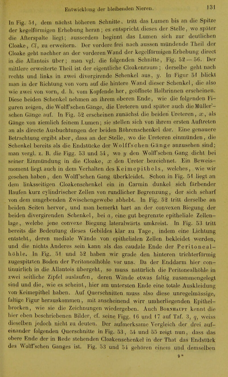 Entwicklung der bleibenden Nieren. En Fig. 51, dem näcbst höheren Schnitte, tritt das Lumen bis an die Spitze der kegelförmigen Erhebung heran; es entspricht dieses der Stelle, wo später die Aflerspalte liegt; ausserdem beginnt das Lumen sich zur deutlichen Cloake, Cl, zu erweitern. Der vordere frei nach aussen mündende Theil der Cloake geht nachher an der vorderen Wand der kegelförmigen Erhebung direct in die Allantois über; man vgl. die folgenden Schnitte, Fig. 52—56. Der mittlere erweiterte Theil ist der eigentliche Cloakenraum ; derselbe geht nach rechts und links in zwei divergirende Schenkel aus, y. In Figur 51 blickt man in der Richtung von vorn auf die hintere Wand dieser Schenkel, die also wie zwei von vorn, d. h. vom Kopfende her, geöffnete Halbrinnen erscheinen. Diese beiden Schenkel nehmen an ihrem oberen Ende, wie die folgenden Fi- guren zeigen, die Wolff'schen Gänge, die Ureteren und später auch dieMüller'- schen Gänge auf. In Fig. 52 erscheinen zunächst die beiden Ureteren, x, als Gänge von ziemlich feinem Lumen; sie stellen sich von ihrem ersten Auftreten an als directe Ausbuchtungen der beiden Röhrenschenkel dar. Eine genauere Betrachtung ergibt aber, dass an der Stelle, wo die Ureteren einmünden, die Schenkel bereits als die Endstücke der Wolffschen Gänge anzusehen sind; man vergl. z. B. die Figg. 53 und 54, wo y den Wolffschen Gang dicht bei seiner Einmündung in die Cloake, x den Ureter bezeichnet. Ein Beweis- moment liegt auch in dem Verhalten des Keimepithels, welches, wie wir gesehen haben, den Wolff'schen Gang überkleidet. Schon in Fig. 51 liegt an dem linksseitigen Cloakenschenkel ein in Carmin dunkel sich färbender Haufen kurz cylindrischer Zellen von rundlicher Begrenzung, der sich scharf von dem umgebenden Zwischengewebe abhebt. In Fig. 52 tritt derselbe an beiden Seiten hervor, und man bemerkt hart an der convexen Biegung der beiden divergirenden Schenkel, bei a, eine gut begrenzte epitheliale Zellen- lage , welche jene convexe Biegung lateralwärts umkreist. In Fig. 53 tritt bereits die Bedeutung dieses Gebildes klar zu Tage, indem eine Lichtung entsteht, deren mediale Wände von epithelialen Zellen bekleidet werden, und die nichts Anderes sein kann als das caudale Ende der Peritoneal- höhle. In Fig. 51 und 52 haben wir grade den hinteren trichterförmig zugespitzten Boden der Peritonealhöhle vor uns. Da der Enddarm hier con- tinuirlich in die Allantois übergeht, so muss natürlich die Peritonealhöhle in zwei seitliche Zipfel auslaufen, deren Wände etwas faltig zusammengelegt sind und die, wie es scheint, hier am untersten Ende eine totale Auskleidung von Keimepithel haben. Auf Querschnitten muss also diese unregelmässige, faltige Figur herauskommen, mit anscheinend wirr umherliegenden Epithel- brocken, wie sie die Zeichnungen wiedergeben. Auch Bornhaupt kennt die hier eben beschriebenen Bilder, cf. seine Figg. 16 und 17 auf Taf. 3, q, weiss dieselben jedoch nicht zu deuten. Der aufmerksame Vergleich der drei auf- einander folgenden Querschnitte in Fig. 53, 5.4 und 55 zeigt nun, dass das obere Ende der in Rede stehenden Cloakenschenkel in der That das Endstück des Wolffschen Ganges ist. Fig. 53 und 54 gehören einem und demselben 9*