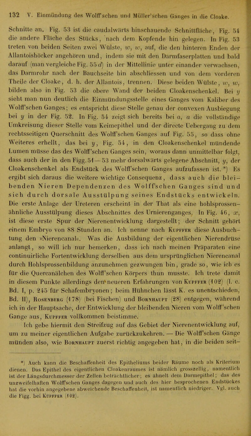 Schnitte an. Fig. 53 ist die caudalwärts hinschauende Schnittfläche, Fig. 54 die andere Flüche des Stücks, nach dem Kopfende hin gelegen. In Fig. 53 treten von beiden Seiten zwei Wülste, w, iv, auf, die den hinteren Enden der Allantoishöcker angehören und, indem sie mit den Darmfaserplalten und bald darauf (man vergleiche Fig. 55 c?) in der Mittellinie unter einander verwachsen, das Darmrohr nach der Bauchseite hin abschliessen und von dem vorderen TheUe der Cloake, d. h. der Allantois, trennen. Diese beiden Wülste, w, w, bilden also in Fig. 53 die obere Wand der beiden Cloakenschenkel. Bei y sieht man nun deutlich die Einmündungsstelle eines Ganges vorn Kaliber des Wolffsehen Ganges; es entspricht diese Stelle genau der convexen Ausbiegung bei y in der Fig. 52. In Fig. 54 zeigt sich bereits bei a, a die vollständige Umkreisung dieser Stelle vom Keimepithel und der directe Uebergang zu dem rechtsseitigen Querschnitt des Wolff sehen Ganges auf Fig. 55, so dass ohne Weiteres erhellt, das bei y, Fig. 54, in den Cloakenschenkel mündende Lumen müsse das des Wolff'schen Ganges sein, woraus dann unmittelbar folgt, dass auch der in den Figg. 51 — 53 mehr dorsalwärts gelegene Abschnitt, ?/, der Cloakenschenkel als Endstück des Wolff'schen Ganges aufzufassen ist. *) Es ergibt sich daraus die weitere wichtige Consequenz, dass auch die blei- benden Nieren Dependenzen des Wolffschen Ganges sind und sich durch dorsale Ausstülpung seines Endstücks entwickeln. Die erste Anlage der Ureteren erscheint in der That als eine hohlsprossen- ähnliche Ausstülpung dieses Abschnittes des Urnierenganges. In Fig. 46, x, ist diese erste Spur der Nierenentwicklung dargestellt; der Schnitt gehört einem Embryo von 88 Stunden an. Ich nenne nach Kupffer diese Ausbuch- tung den »Nierencanal«. Was die Ausbildung der eigentlichen Nierendrüse anlangt, so will ich nur bemerken, dass ich nach meinen Präparaten eine continuirliche Fortentwicklung derselben aus dem ursprünglichen Nierencanal durch Hohlsprossenbildung anzunehmen gezwungen bin, grade so, wie ich es für die Quercanälchen des Wolff'schen Körpers thun musste. Ich trete damit in diesem Punkte allerdings den*neueren Erfahrungen von Kupffer (102) (1. c. Bd. I, p. 245 für Schafembryonen; beim Hühnchen lässt K. es unentschieden, Bd. II), Bosenberg (178) (bei Fischen) und Bornhaupt (28) entgegen, während ich in der Hauptsache, der Entwicklung der bleibenden Nieren vom Wolff'schen Gange aus, Kupffer vollkommen beistimme. tch gebe hiermit den Streifzug auf das Gebiet der Nierenentwicklung auf, um zu meiner eigentlichen Aufgabe zurückzukehren. — Die Wolff'schen Gänge münden also, wie Bornhaupt zuerst richtig angegeben hat, in die beiden seit- *) Auch kann die Beschaffenheit des Epitheliums beider Räume noch als Kriterium dienen. Das Epithel des eigentlichen Cloakenraumes ist nämlich grosszellig, namentlich ist der Längsdurchmesser der Zellen beträchtlicher; es ähnelt dem Darmepithel; das des unzweifelhaften Wolff'schen Ganges dagegen und auch des hier besprochenen Endstückes hat die vorhin angegebene abweichende Beschaffenheit, ist namentlich niedriger. Vgl. auch die Figg. bei Kupffer (4 02).