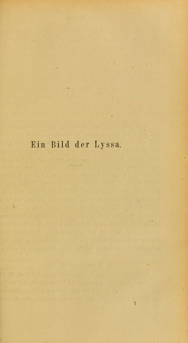 Ein Bild der Lyssa.