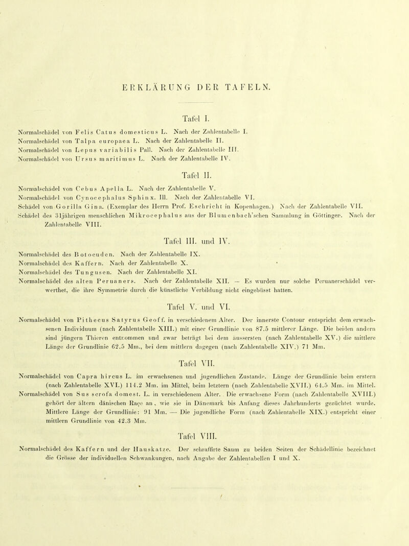 ERKLÄRUNG DER TAFELN. Tafel I. Normalschädel von Felis Catus domesticus L. Nach der Zahlentabelle I. Normalschädel von Talpa europaea L. Nach der Zahlentabelle II. Normalschädel von Lepus variabilis Pall. Nacli der Zahlentabelle III. Normalschädel von Ursus maritimus L. Nach der Zahlentabelle IV. Tafel II. Normalschädel von Cebus Apella L. Nach der Zahlentabelle V. Normalschädel von Cynocephalus Sphinx. 111. Nach der Zahlentabelle VI. Schädel von Gorilla G i n a. (Exemplar des Herrn Prof. Esch rieht in Kopenhagen.) Nach der Zahlentabelle VII. Schädel des 31jährigen menschlichen Mikrocephalus ans der Bl um en bach’schen Sammlung in Göttingen. Nach der Zahlentabelle VIII. Tafel III. und IV. Normalschädel des Botocuden. Nach der Zahlentabelle IX. Normalschädel des Kaffem. Nach der Zahlentabelle X. Normalschädel des Tungusen. Nach der Zahlentabelle XI. Normalschädel des alten Peruaners. Nach der Zahlentabelle XII. - Es wurden nur solche Peruanerschädel ver- werthet, die ihre Symmetrie durch die künstliche Verbildung nicht eingebiisst hatten. Tafel V. und VI. Normalschädel von Pithecus Satyrus Geoff. in verschiedenem Alter. Der innerste Contour entspricht dem erwach- senen Individuum (nach Zahlentabelle XIII.) mit einer Grundlinie von 87.5 mittlerer Länge. Die beiden andern sind jungem Thieren entnommen und zwar beträgt bei dem äussersten (nach Zahlentabelle XV.) die mittlere Länge der Grundlinie 62.5 Mm., bei dem mittlern dagegen (nach Zahlentabellc XIV.) 71 Mm. Tafel VII. Normalschädel von C'apra hircus L. im erwachsenen und jugendlichen Zustande. Länge der Grundlinie beim erstem (nach Zahlentabelle XVI.) 114.2 Mm. im Mittel, beim letztem (nach Zahlentabelle XVII.) 64.5 Mm. im Mittel. Normalschädel von Sus scrofa dornest. L. in verschiedenem Alter. Die erwachsene Form (nach Zahlentabelle XVIII.) gehört der ältern dänischen Race an , wie sie in Dänemark bis Anfang dieses Jahrhunderts gezüchtet wurde. Mittlere Länge der Grundlinie: 91 Mm. — Die jugendliche Form (nach Zahientabelle XIX.) entspricht einer mittlern Grundlinie von 42.3 Mm. Tafel VIII. Normalschädel des Kaffem und der Hauskatze. Der schraffirte Saum zu beiden Seiten der Schädellinie bezeichnet