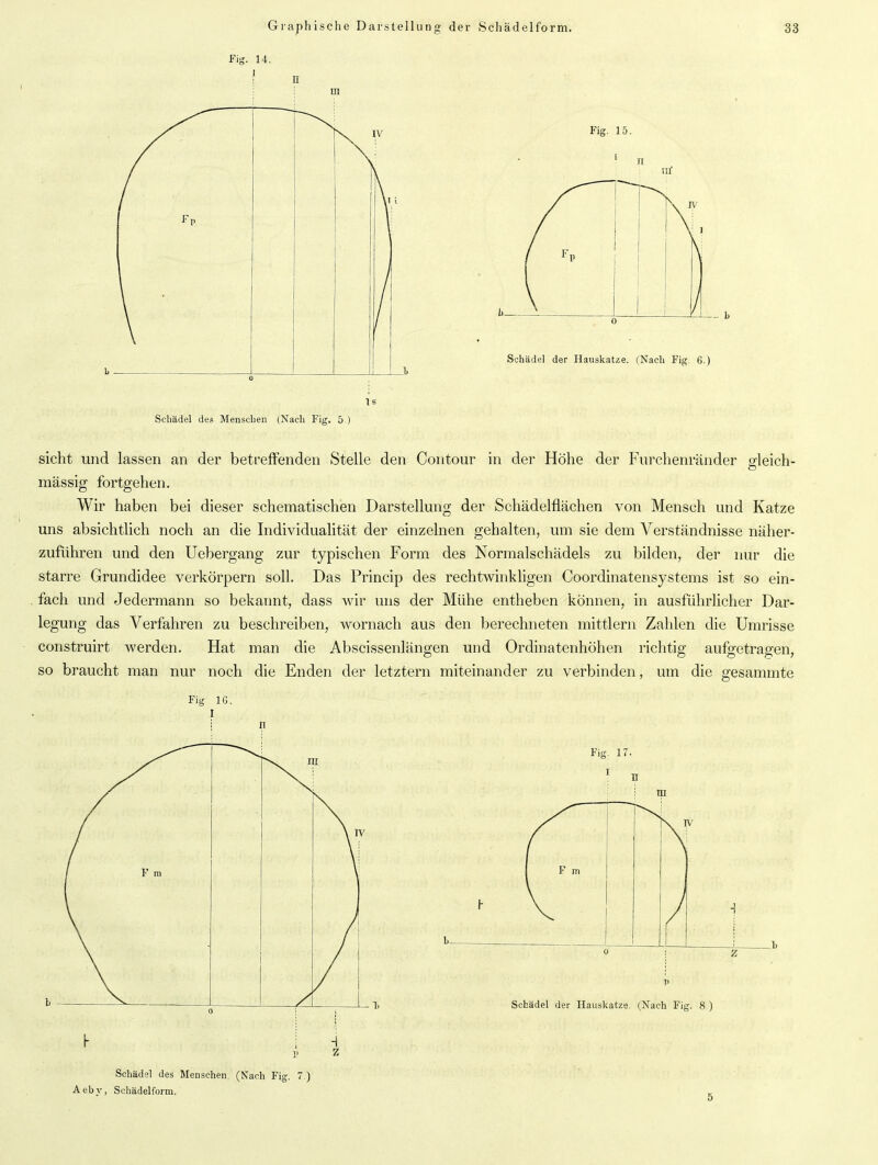 I Fig. 14. Dl Fig. 15. Tlf Schädel der Hauskatze. (Nach Fig. 6.) sicht und lassen an der betreffenden Stelle den Contour in der Höhe der Furchenränder gleich- massig fortgehen. Wir haben bei dieser schematischen Darstellung der Schädelflächen von Mensch und Katze uns absichtlich noch an die Individualität der einzelnen gehalten, um sie dem Verständnisse näher- zuführen und den Uebergang zur typischen Form des Normalschädels zu bilden, der nur die starre Grundidee verkörpern soll. Das Princip des rechtwinkligen Coordinatensystems ist so ein- fach und Jedermann so bekannt, dass wir uns der Mühe entheben können, in ausführlicher Dar- legung das Verfahren zu beschreiben, wornach aus den berechneten mittlern Zahlen die Umrisse construirt werden. Hat man die Abscissenlängen und Ordinatenhöhen richtig aufgetragen, so braucht man nur noch die Enden der letztem miteinander zu verbinden, um die gesammte Schädel des Menschen. (Nach Fig. 7 ) Aebv, Schädelform.