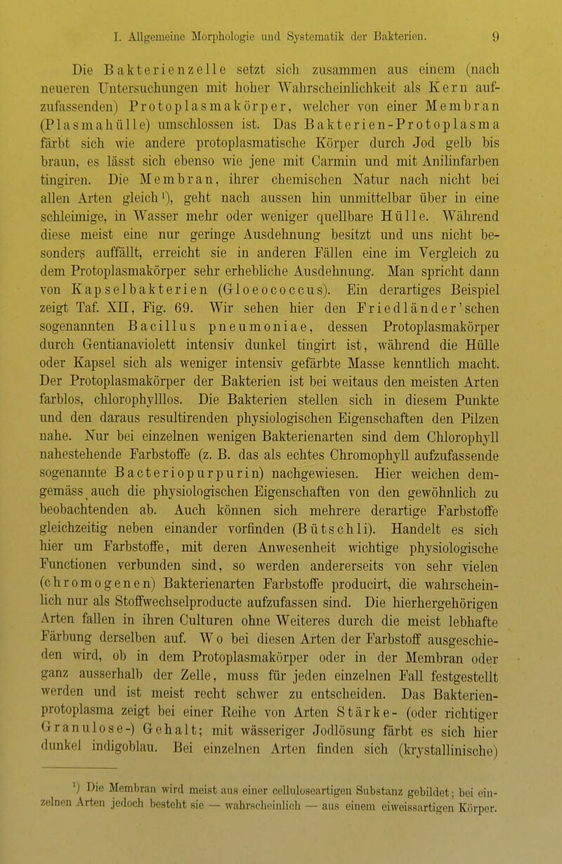 Die B akte r ic nzelle setzt sich zusammen aus einem (nach neueren Untersuchungen mit hober Wahrscheinlichkeit als Kern auf- zufassenden) Protoplasmakörper, welcher von einer Membran (Plasmahülle) umschlossen ist. Das Bakterien-Protoplasma färbt sich wie andere protoplasmatische Körper durch Jod gelb bis braun, es lässt sich ebenso wie jene mit Carmin und mit Anilinfarben tingiren. Die Membran, ihrer chemischen Natur nach nicht bei allen Arten gleich'), geht nach aussen hin unmittelbar über in eine schleimige, in Wasser mehr oder weniger quellbare Hülle. Während diese meist eine nur geringe Ausdehnung besitzt und uns nicht be- sonders auffällt, erreicht sie in anderen Fällen eine im Vergleich zu dem Protoplasmakörper sehr erhebliche Ausdehnung. Man spricht dann von Kapselbakterien (G-loeococcus). Ein derartiges Beispiel zeigt Taf. XII, Fig. 69. Wir sehen hier den Friedländer'sehen sogenannten Bacillus pneumoniae, dessen Protoplasmakörper durch Gentianaviolett intensiv dunkel tingirt ist, während die Hülle oder Kapsel sich als weniger intensiv gefärbte Masse kenntbch macht. Der Protoplasmakörper der Bakterien ist bei weitaus den meisten Arten farblos, chlorophylllos. Die Bakterien stellen sich in diesem Punkte und den daraus resultirenden physiologischen Eigenschaften den Pilzen nahe. Nur bei einzelnen wenigen Bakterienarten sind dem Chlorophyll nahestehende Farbstoffe (z. B. das als echtes Chromophyll aufzufassende sogenannte Bacteriopurpurin) nachgewiesen. Hier weichen dem- gemäss > auch die physiologischen Eigenschaften von den gewöhnlich zu beobachtenden ab. Auch können sich mehrere derartige Farbstoffe gleichzeitig neben einander vorfinden (Bütschli). Handelt es sich hier um Farbstoffe, mit deren Anwesenheit wichtige physiologische Functionen verbunden sind, so werden andererseits von sehr vielen (chromogenen) Bakterienarten Farbstoffe producirt, die wahrschein- lich nur als Stoffwechselproducte aufzufassen sind. Die hierhergehörigen Arten fallen in ihren Culturen ohne Weiteres durch die meist lebhafte Färbung derselben auf. Wo bei diesen Arten der Farbstoff ausgeschie- den wird, ob in dem Protoplasmakörper oder in der Membran oder ganz ausserhalb der Zelle, muss für jeden einzelnen Fall festgestellt werden und ist meist recht schwer zu entscheiden. Das Bakterien- protoplasma zeigt bei einer Reihe von Arten Stärke- (oder richtiger Granulöse-) Gehalt; mit wässeriger Jodlösung färbt es sich hier dunkel indigoblau. Bei einzelnen Arten finden sich (krystallinische) Die Membran wird meist uns einer ceUuloseartigen Substanz gebildet; bei ein- zelnen Arten jedoch besteht sie — wahrscheinlich - aus einem eiweissartigen Körper.