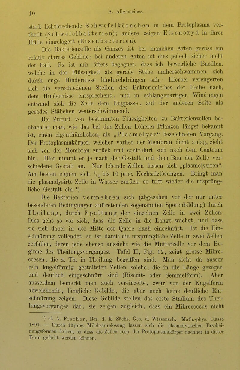 stark lichtbrechende Schwefelkörnchen in dem Protoplasma ver- theilt (Schwefelbakterien); andere zeigen Eisenoxyd in ihrer Hülle eingelagert (Eisenbacterien). Die Bakterienzelle als Ganzes ist bei manchen Arten gewiss ein relativ starres Gebilde; bei anderen Arten ist dies jedoch sicher nicht der Fall. Es ist mir öfters begegnet, dass ich bewegliche Bacillen, welche in der Flüssigkeit als gerade Stäbe umherschwammen, sich durch enge Hindernisse hindurchdrängen sah. Hierbei verengerten sich die verschiedenen Stellen des Bakterienleibes der Reihe nach, dem Hindernisse entsprechend, und in schlangenartigen Windungen entwand sich die Zelle dem Engpasse , auf der anderen Seite als gerades Stäbchen weiterschwimmend. Bei Zutritt von bestimmten Flüssigkeiten zu Bakterienzellen be- obachtet man, wie das bei den Zellen höherer Pflanzen längst bekannt ist, einen eigentümlichen, als „Plasmolyse bezeichneten Vorgang. Der Protoplasmakörper, welcher vorher der Membran dicht anlag, zieht sich von der Membran zurück und contrahirt sich nach dem Centrum hin. Hier nimmt er je nach der Gestalt und dem Bau der Zelle ver- schiedene Gestalt an. Nur lebende Zellen lassen sich „plasmolysiren. Am besten eignen sich 8^4 bis 10 proc. Kochsalzlösungen. Bringt man die plasmolysirte Zelle in Wasser zurück, so tritt wieder die ursprüng- liche Gestalt ein.1) Die Bakterien vermehren sich (abgesehen von der nur unter besonderen Bedingungen auftretenden sogenannten Sporenbildung) durch Theilung, durch Spaltung der einzelnen Zelle in zwei Zellen. Dies geht so vor sich, dass die Zelle in die Länge wächst, und dass sie sich dabei in der Mitte der Quere nach einschnürt. Ist die Ein- schnürung vollendet, so ist damit die ursprünghche Zelle in zwei Zellen zerfallen, deren jede ebenso aussieht wie die Mutterzelle vor dem Be- ginne des Theilungsvorganges. Tafel H, Fig. 12, zeigt grosse Mikro- coccen, die z. Th. in Theilung begriffen sind. Man sieht da ausser rein kugelförmig gestalteten Zellen solche, die in die Länge gezogen und deutlich eingeschnürt sind (Biscuit- oder Semmelform). Aber ausserdem bemerkt man auch vereinzelte, zwar von der Kugelform abweichende, längliche Gebilde, die aber noch keine deutliche Ein- schnürung zeigen. Diese Gebilde stellen das erste Stadium des Thei- lungsvorganges dar; sie zeigen zugleich, dass ein Mikrococcus nicht ') cf. A. Fischer, Ber. d. K. Sachs. Ges. d. Wissensch. Math.-phys. Classe 1891. — Durch 10 proc. Milchsäurelösung lassen sich die plasmolytischen Erschei- nungsformen fixiren, so dass die Zellen resp. der Protoplasmakörper nachher in dieser Form gefärbt werden können.