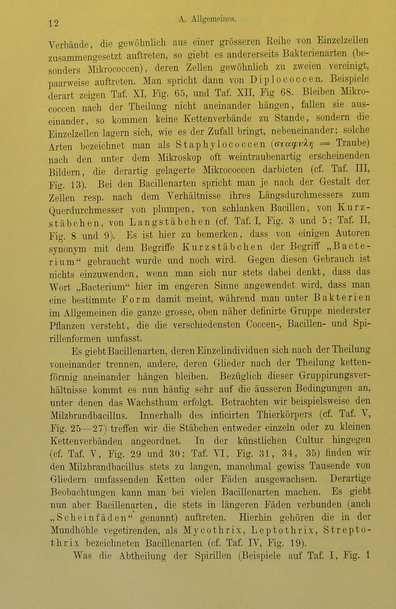 Verbände, die gewöhnlich aus einer grösseren Reihe von Einzelzellen zusammengesetzt auftreten, so giebt es andererseits Bakterienarten (be- sonders Mikrococoen), deren Zellen gewöhnlich zu zweien vereinigt, paarweise auftreten. Man spricht dann von Diplococcen. Beispiele derart zeigen Taf. XI, Fig. 65, und Taf. XII, Fig 68. Bleiben Mikro- cocoen nach der Theilung nicht aneinander hängen, fallen sie aus- einander, so kommen keine Kettenverbände zu Stande, sondern die Einzelzellen lagern sich, wie es der Zufall bringt, nebeneinander; solche Arten bezeichnet man als Staphylococcen {ö%a<f>vXr} = Traube) nach den unter dem Mikroskop oft weintraubenartig erscheinenden Bildern, die derartig gelagerte Mikrococcen darbieten (cf. Taf. IH, Eig. 13). Bei den Bacillenarten spricht man je nach der Gestalt der Zellen resp. nach dem Verhältnisse ihres Längsdurchmessers zum Querdurchmesser von plumpen, von schlanken Bacillen, von Kurz- stäbchen, von Langstäbchen (cf. Taf. I, Eig. 3 und 5; Taf. II, Fig. 8 und 9). Es ist hier zu bemerken, dass von einigen Autoren synonym mit dem Begriffe Kurz Stäbchen der Begriff „Bacte- rium gebraucht wurde und noch wird. Gegen diesen Gebrauch ist nichts einzuwenden, wenn man sich nur stets dabei denkt, dass das Wort „Bacterium hier im engeren Sinne angewendet wird, dass man eine bestimmte Form damit meint, während man unter Bakterien im Allgemeinen die ganze grosse, oben näher defmirte Gruppe niederster Pflanzen versteht, die die verschiedensten Coccen-, Bacillen- und Spi- rillenformen umfasst. Es giebt Bacillenarten, deren Einzelindividuen sich nach der Theilung voneinander trennen, andere, deren Glieder nach der Theilung ketten- förmig aneinander hängen bleiben. Bezüglich dieser Gruppirungsver- hältnisse kommt es nun häufig sehr auf die äusseren Bedingungen an, unter denen das Wachsthum erfolgt. Betrachten wir beispielsweise den Milzbrandbacillus. Innerhalb des inficirten Tbierkörpers (cf. Taf. V, Fig. 25—27) treffen wir die Stäbchen entweder einzeln oder zu kleinen Kettenverbänden angeordnet. In der künstlichen Cultur hingegen (cf. Taf. V, Fig. 29 und 30; Taf. VI, Fig. 31, 34, 35) finden wil- den Milzbrandbacillus stets zu langen, manchmal gewiss Tausende von Gliedern umfassenden Ketten oder Fäden ausgewachsen. Derartige Beobachtungen kann man bei vielen Bacillenarten machen. Es giebt nun aber Bacillenarten, die stets in längeren Fäden verbunden (auch „Scheinfäden genannt) auftreten. Hierhin gehören die in der Mundhöhle vegetirenden, als Mycothrix, Leptothrix, Strepto- thrix bezeichneten Bacillenarten (cf. Taf. IV, Fig. 19). Was die Abtheilung der Spirillen (Beispiele auf Taf. I, Fig. 1