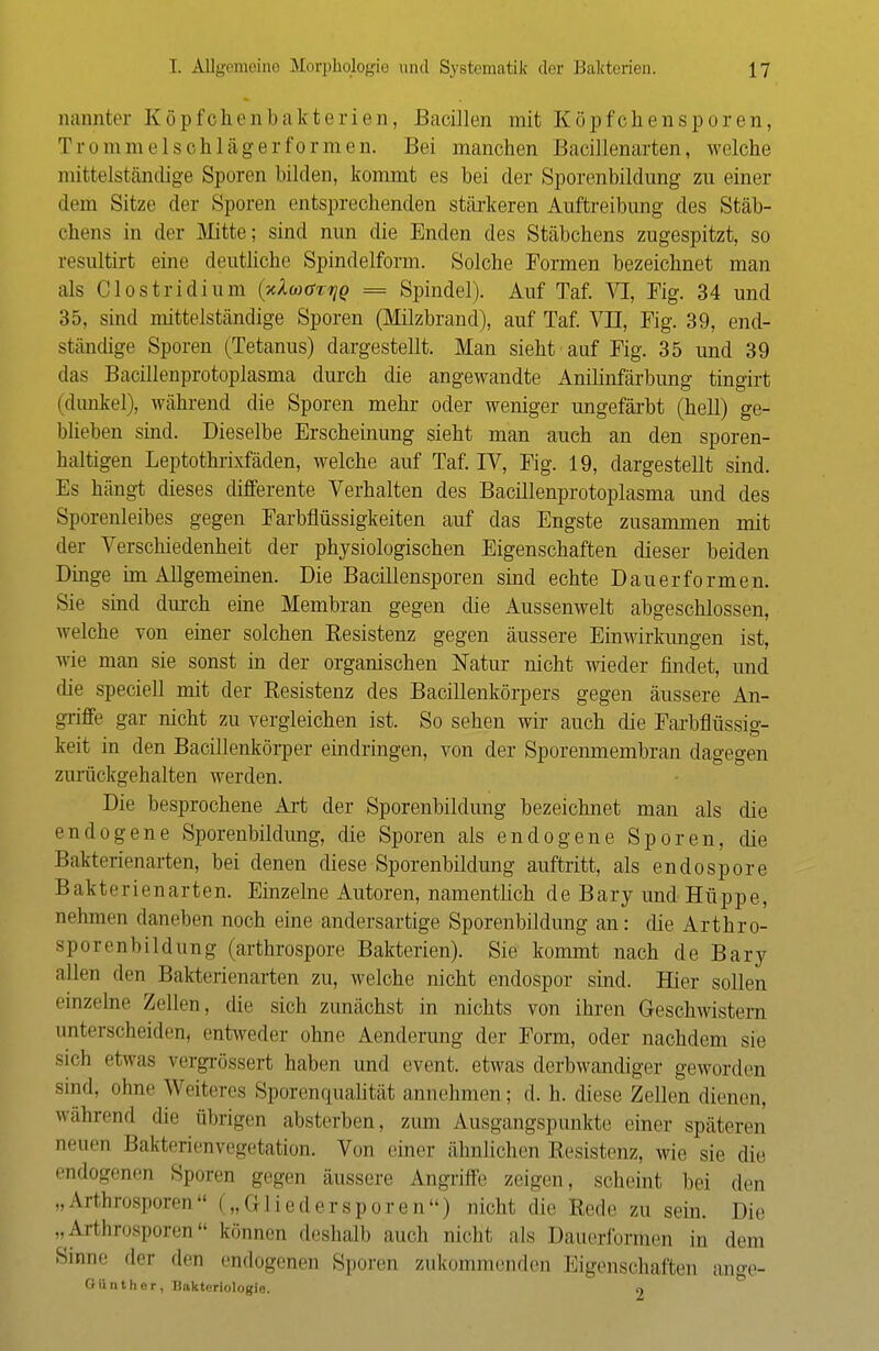 nanntet- Köpfchenbakterien, Bacillen mit Köpfchensporen, Trommelsohlägerformen. Bei manchen Bacillenarten, welche mittelständige Sporen bilden, kommt es bei der Sporenbildung zu einer dem Sitze der Sporen entsprechenden stärkeren Auftreibung des Stäb- chens in der Mitte; sind nun die Enden des Stäbchens zugespitzt, so resultirt eine deutliche Spindelform. Solche Formen bezeichnet man als Clostridium (jdwo^ = Spindel). Auf Taf. VI, Fig. 34 und 35, sind mittelständige Sporen (Milzbrand), auf Taf. VII, Fig. 39, end- ständige Sporen (Tetanus) dargestellt. Man sieht auf Fig. 35 und 39 das Bacillenprotoplasma durch die angewandte Anilinfärbung tingirt (dunkel), während die Sporen mehr oder weniger ungefärbt (hell) ge- blieben sind. Dieselbe Erscheinung sieht man auch an den sporen- haltigen Leptothrixfäden, welche auf Taf. IV, Fig. 19, dargestellt sind. Es hängt dieses differente Verhalten des Bacillenprotoplasma und des Sporenleibes gegen Farbflüssigkeiten auf das Engste zusammen mit der Verschiedenheit der physiologischen Eigenschaften dieser beiden Dinge im Allgemeinen. Die Bacillensporen sind echte Dauer formen. Sie sind durch eine Membran gegen die Aussenwelt abgeschlossen, welche von einer solchen Kesistenz gegen äussere Einwirkungen ist, wie man sie sonst in der organischen Natur nicht wieder findet, und die speciell mit der Besistenz des Bacillenkörpers gegen äussere An- griffe gar nicht zu vergleichen ist. So sehen wir auch die Farbfiussig- keit in den Bacillenkörper eindringen, von der Sporemnembran dagegen zurückgehalten werden. Die besprochene Art der Sporenbildung bezeichnet man als die endogene Sporenbildung, die Sporen als endogene Sporen, die Bakterienarten, bei denen diese Sporenbildung auftritt, als endospore Bakterienarten. Einzelne Autoren, namentlich de Bary und Hüppe, nehmen daneben noch eine andersartige Sporenbildung an: die Arthro- sporenbildung (arthrospore Bakterien). Sie kommt nach de Bary allen den Bakterienalten zu, welche nicht endospor sind. Hier sollen einzelne Zellen, die sich zunächst in nichts von ihren Geschwistern unterscheiden, entweder ohne Aenderung der Form, oder nachdem sie sich etwas vergrössert haben und event. etwas derbwandiger geworden sind, ohne Weiteres Sporenqualität annehmen; d. h. diese Zellen dienen, wahrend die übrigen absterben, zum Ausgangspunkte einer späteren neuen Bakterienvegetation. Von einer ähnlichen Resistenz, wie sie die endogener Sporen gegen äussere Angriffe zeigen, scheint hei den »Arthrosporen („Gliedersporen) nicht die Rede zu sein, nie .. Artlirosporen können deshalb auch nicht als Daucribrmcn in dem Sinne dei den endogenen Sporen zukommenden Eigenschaften ange- GUnther, Bnktcriologio. o