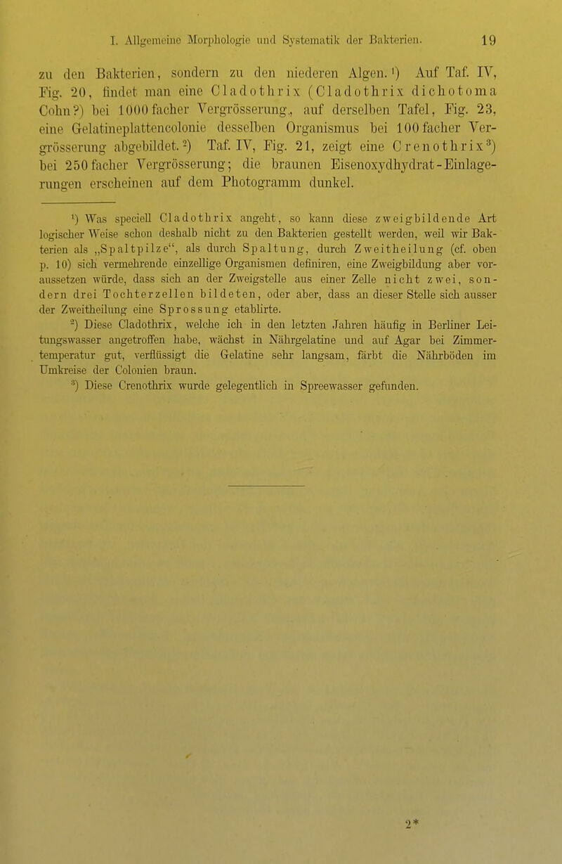 zu den Bakterien, sondern zu den niederen Algen.1) Auf Taf. IV, Fig. '20. findet man eine Cladothrix (Cladotkrix dicliotoma Gönn?) bei LÖOOfacher Vergrößerung,, auf derselben Tafel, Fig. 23, eine Gelatineplattencolonie desselben Organismus bei lOOfacher Ver- grösserung abgebildet,'2) Taf. IV, Fig. 21, zeigt eine Creuothrix:;) bei 250facher Vergrösserung; die braunen Eisenoxydh}'drat - Einlage- rungen erseheinen auf dem Photogramm dunkel. ') Was speciell Cladothrix angeht, so kann diese zweighildende Art logischer Weise schon deshalb nicht zu den Bakterien gesteht werden, weh wir Bak- terien als „Spaltpilze, als durch Spaltung, durch Zweitheilung (cf. oben p. 10) sich vermehrende einzellige Organismen definiren, eine Zweigbüdung aber vor- aussetzen würde, dass sich an der Zweigstelle aus einer Zehe nicht zwei, son- dern drei Tochterzellen bildeten, oder aber, dass an dieser Stelle sich ausser der Zweitheilung eine Sprossung etabhrte. '2) Diese Cladothrix, welche ich in den letzten Jahren häufig in Berliner Lei- tungswasser angetroffen habe, wächst in Nährgelatine und auf Agar bei Zimmer- temperatur gut, verflüssigt die Gelatine sehr langsam, färbt die Nährböden im Umkreise der Colonien braun. ;!) Diese Crenothrix wurde gelegentlich in Spreewasser gefunden. 2*