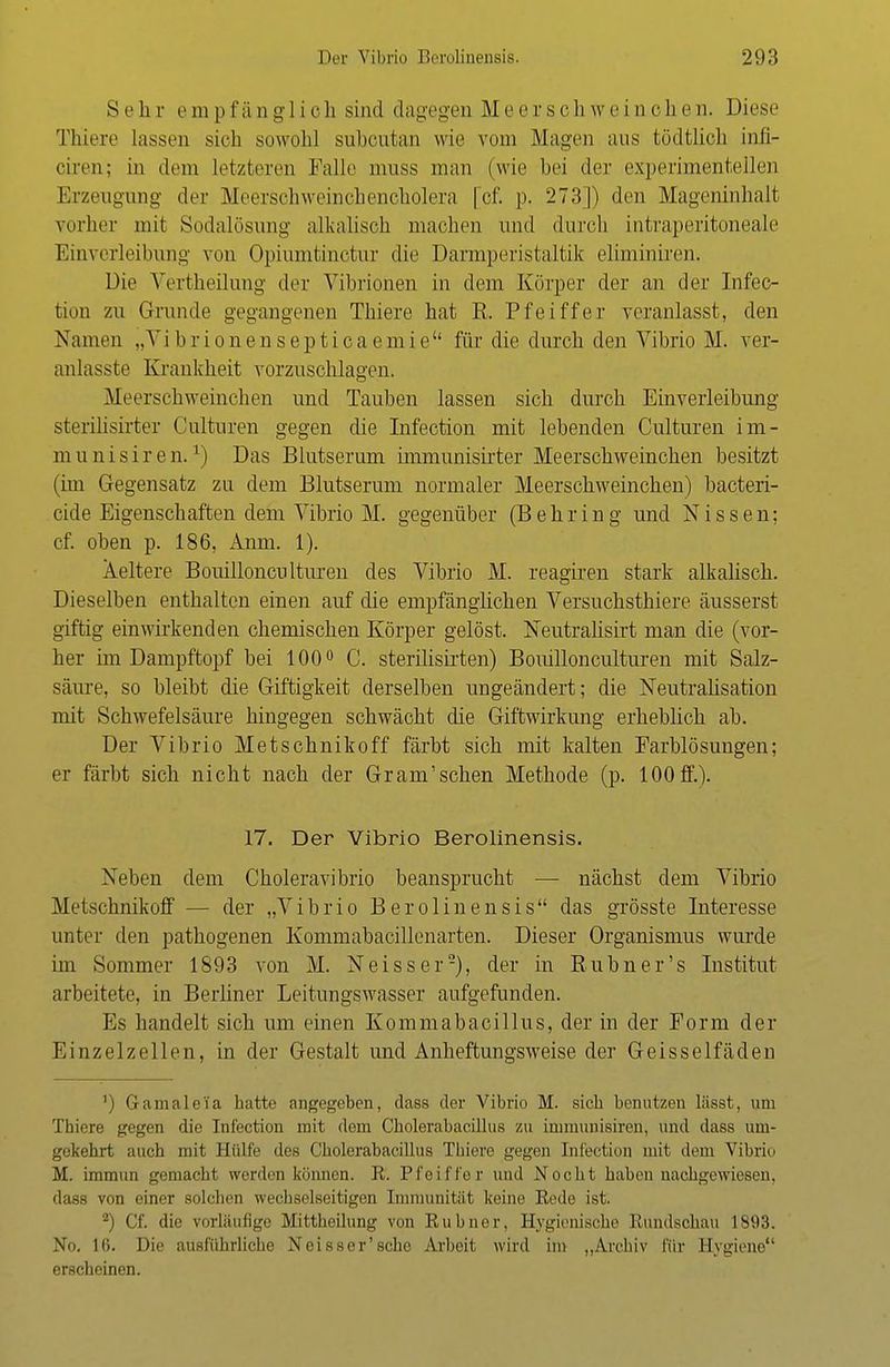Seh v e in [> fä ngl icIi sind dagegen M e erschweinchen. Diese Thiere lassen sich sowohl subcutan wie vom Magen aus tödtlich infi- oiren; in dem letzteren Falle muss man (wie bei der experimentellen Erzeugung der Meerschweinenencholera [cf. p. 273]) den Mageninhalt vorher mit Sodalösung alkalisch machen und durch intraperitoneale Einverleibung von Opiumtinctur die Darmperistaltik eliminiren, Die Vertheilung der Vibrionen in dem Körper der an der Infec- tion zu Grunde gegangenen Thiere hat R. Pfeiffer veranlasst, den Namen „Vibrionensepticaemie für die durch den Vibrio M. ver- anlasste Krankheit vorzuschlagen. Meerschweinchen und Tauben lassen sich durch Einverleibung sterilisirter Culturen gegen die Infection mit lebenden Culturen im- munisiren.*) Das Blutserum immunisirter Meerschweinchen besitzt (im Gegensatz zu dem Blutserum normaler Meerschweinchen) bacteri- cide Eigenschaften dem Vibrio M. gegenüber (Behring und Nissen; cf. oben p. 186, Anm. 1). Weitere Bouillonculturen des Vibrio M. reagiren stark alkalisch. Dieselben enthalten einen auf die empfänglichen Versuchstiere äusserst giftig einwirkenden chemischen Körper gelöst. Neutralisirt man die (vor- her im Dampftopf bei 100° C. sterilisirten) Bouillonculturen mit Salz- säure, so bleibt die Giftigkeit derselben ungeändert; die Neutralisation mit Schwefelsäure hingegen schwächt die Giftwirkung erheblich ab. Der Vibrio Metschnikoff färbt sich mit kalten Farblösungen; er färbt sich nicht nach der Gram'sehen Methode (p. 100 ff.). 17. Der Vibrio Berolinensis. Neben dem Choleravibrio beansprucht — nächst dem Vibrio Metschnikoff — der „Vibrio Berolinensis das grösste Interesse unter den pathogenen Kommabacillenarten. Dieser Organismus wurde im Sommer 1893 von M. Neisser2), der in Rubner's Institut arbeitete, in Berliner Leitungswasser aufgefunden. Es handelt sich um einen Kommabacillus, der in der Form der Einzelzellen, in der Gestalt und Anheftungsweise der Geisseifäden ') Gamale'fa hatte angegeben, dass der Vibrio M. sich benutzen lüsst, um Thiere gegen die Infection mit dem Cholerabacillus zu immunisiren, und dass um- gekehrt auch mit Hülfe des Cholerabacillus Thiere gegen [nfection mit dem Vibrio M. immun gemacht werden können. R'. Pfeiffer und Nocht haben nachgewiesen, dass von einer solchen wechselseitigen Immunität keine Rede ist. 2) Cf. die vorläufige Mifctheilung von Rubner, Hygienische Rundschau 1893. No. 16. Die ausführliche Neisser'sehe Arbeit wird im „Archiv für Hygiene erscheinen.