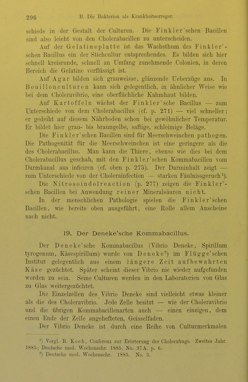 schiede in der Gestalt der Oulturen. Die Finkler'schert Bacillen sind also leicht von den Cholerabacillen zu unterscheiden. Auf der Gelatineplatte ist das Wachsthum des Finkler'- sehen Bacillus ein der Stichcultur entsprechendes. Es bilden sich hier schnell kreisrunde, schnell an Umfang zunehmende Colonien, in deren Bereich die Gelatine verflüssigt ist. Auf Agar bilden sich grauweisse, glänzende Ueberzüge aus. In Bouillonculturen kann sich gelegentlich, in ähnlicher Weise wie bei dem Choleravibrio, eine oberflächliche Kahmhaut bilden. Auf Kartoffeln wächst der Finkler'sehe Bacillus — zum Unterschiede von dem Cholerabacillus (cf. p. 271) — viel schneller: er gedeiht auf diesem Nährboden schon bei gewöhnlicher Temperatur. Er bildet hier grau- bis braungelbe, saftige, schleimige Beläge. Die Finkl er'sehen Bacillen sind für Meerschweinchen pathogen. Die Pathogenität für die Meerschweinchen ist eine geringere als die des Cholerabacillus. Man kann die Thiere, ebenso wie cües bei dem Cholerabacillus geschah, mit den Fin kl er1 scheu Kommabacillen vom Darmkanal aus inficiren (cf. oben p. 273). Der Darminhalt zeigt — zum Unterschiede von der Cholerainfection — starken Fäulnissgeruch1). Die Nitrosoindolreaction (p. 277) zeigen die Finkler- schen Bacillen bei Anwendung reiner Mineralsäuren nicht. In der menschlichen Pathologie spielen die Finkl er'sehen Bacillen, wie bereits oben ausgeführt, eine Rolle allem Anscheine nach nicht. 19. Der Deneke'sche Kommabacillus. Der Deneke'sche Kommabacillus (Vibrio Deneke, Spirillum tyrogenum, Käsespirillum) wurde von Deneke2) im Flügge'sehen Institut gelegentlich aus einem längere Zeit aufbewahrten Käse gezüchtet. Später scheint dieser Vibrio nie wieder aufgefunden worden zu sein. Seine Culturen werden in den Laboratorien von Glas zu Glas weitergezüchtet. Die Einzelzellen des Vibrio Deneke sind vielleicht etwas kleiner als die des Choleravibrio. Jede Zelle besitzt — wie der Choleravibrio und die übrigen Kommabacillenarten auch — einen einzigen, dem einen Ende der Zelle angehefteten, Geisselfaden. Der Vibrio Deneke ist durch eine Reihe von Culturmerkmalen J) Vergl. ß. Koch, Conferenz zur Erörterung der Cholerafrage. Zweites Jabr. 1885; Deutsche med. Wochenschr. 1885. No. 37A. p. l>. 2) Deutsche med. Wochenschr. 1885. No. 3.