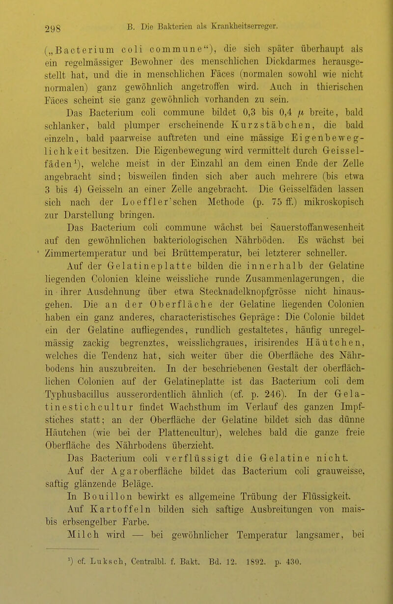 („Bacterium coli commune), die sich später überhaupt als ein regelmässiger Bewohner des menschlichen Dickdarmes herausge- stellt hat, und die in menschlichen Fäces (normalen sowohl wie nicht normalen) ganz gewöhnlich angetroffen wird. Auch in thierischen Fäces scheint sie ganz gewöhnlich vorhanden zu sein. Das Bacterium coli commune bildet 0,3 bis 0,4 fx breite, bald schlanker, bald plumper erscheinende Kurzstäbchen, die bald einzeln, bald paarweise auftreten und eine mässige Eigenbeweg- lichkeit besitzen. Die Eigenbewegung wird vermittelt durch G e i s s e 1 - fäden1), welche meist in der Einzahl an dem einen Ende der Zelle angebracht sind; bisweilen finden sich aber auch mehrere (bis etwa 3 bis 4) Greissein an einer Zelle angebracht. Die Geisseifäden lassen sich nach der Loeffler'sehen Methode (p. 75 ff.) mikroskopisch zur Darstellung bringen. Das Bacterium coli commune wächst bei Sauerstoffanwesenheit auf den gewöhnlichen bakteriologischen Nährböden. Es wächst bei Zimmertemperatur und bei Brüttemperatur, bei letzterer schneller. Auf der Gelatineplatte bilden die innerhalb der Gelatine liegenden Colonien kleine weissliche runde Zusammenlagerungen, die in ihrer Ausdehnung über etwa Stecknadelknopfgrösse nicht hinaus- gehen. Die an der Oberfläche der Gelatine liegenden Colonien haben ein ganz anderes, characteristisches Gepräge: Die Colonie bildet ein der Gelatine aufliegendes, rundlich gestaltetes, häufig unregel- mässig zackig begrenztes, weisslichgraues, irisirendes Häutchen, welches die Tendenz hat, sich weiter über die Oberfläche des Nähr- bodens hin auszubreiten. In der beschriebenen Gestalt der oberfläch- lichen Colonien auf der Gelatineplatte ist das Bacterium coli dem Typhusbacillus ausserordentlich ähnlich (cf. p. 246). In der Gela- tinestichcultur findet Wachsthum im Verlauf des ganzen Impf- stiches statt; an der Oberfläche der Gelatine bildet sich das dünne Häutchen (wie bei der Plattencultur), welches bald die ganze freie Oberfläche des Nährbodens überzieht. Das Bacterium coli verflüssigt die Gelatine nicht. Auf der A g a r Oberfläche bildet das Bacterium coli grauweisse, saftig glänzende Beläge. In Bouillon bewirkt es allgemeine Trübung der Flüssigkeit. Auf Kartoffeln bilden sich saftige Ausbreitungen von mais- bis erbsengelber Farbe. Milch wird — bei gewöhnlicher Temperatur langsanier, bei ') cf. Luksch, Centralbl. f. Bukt. Bd. 12. 1892. p. 430.
