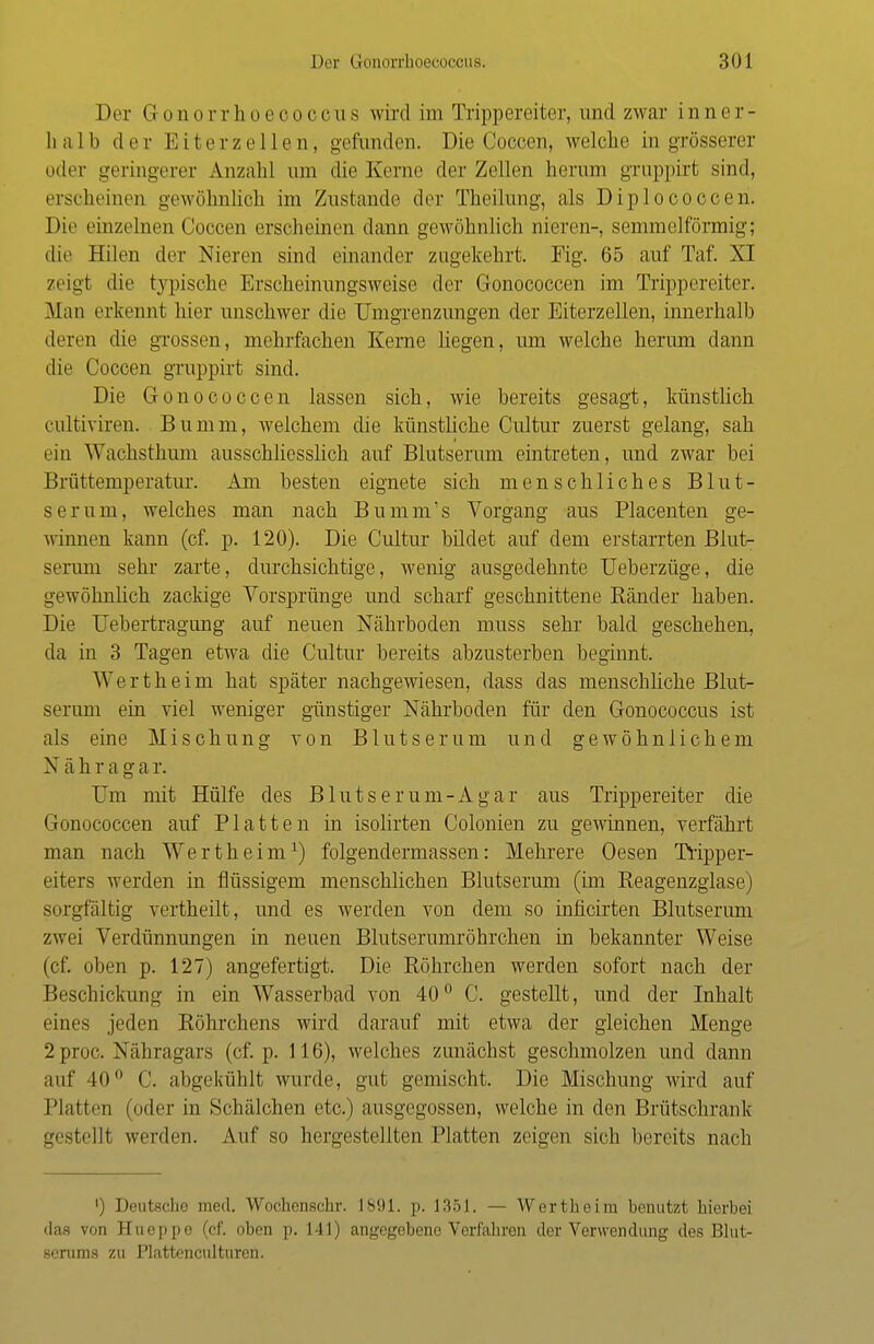 Der Gonorrhoecoccus wird im Trippereiter, und zwar inner- lialb der Eiterzellen, gefunden. Die Coccen, welche in grösserer oder geringerer Anzahl um die Kerne der Zellen herum gruppirt sind, erscheinen gewöhnlich im Zustande der Theilung, als Diplococcen. Die einzelnen Coccen erscheinen dann gewöhnlich nieren-, semmelförmig; die Hilen der Nieren sind einander zugekehrt. Fig. 65 auf Taf. XI zeigt die typische Erscheinungsweise der Gonococcen im Trippereiter. Man erkennt hier unschwer die Umgrenzungen der Eiterzellen, innerhalb (leren die grossen, mehrfachen Kerne liegen, um welche herum dann die Coccen gruppirt sind. Die Gonococcen lassen sich, wie bereits gesagt, künstlich cultiviren. Bumm, welchem die künstliche Cultur zuerst gelang, sah ein Wachsthum ausschliesslich auf Blutserum eintreten, und zwar bei Brüttemperatur. Am besten eignete sich menschliches Blut- serum, welches man nach Bumnrs Vorgang aus Placenten ge- winnen kann (cf. p. 120). Die Cultur bildet auf dem erstarrten Blut- serum sehr zarte, durchsichtige, wenig ausgedehnte Ueberzüge, die gewöhnlich zackige Vorsprünge und scharf geschnittene Ränder haben. Die Uebertragung auf neuen Nährboden muss sehr bald geschehen, da in 3 Tagen etwa die Cultur bereits abzusterben beginnt. Wertheim hat später nachgewiesen, dass das menschliche Blut- serum ein viel weniger günstiger Nährboden für den Gonococcus ist als eine Mischung von Blutserum und gewöhnlichem N ä h r a g a r. Um mit Hülfe des Bluts er um-Agar aus Trippereiter die Gonococcen auf Platten in isolirten Colonien zu gewinnen, verfährt man nach Wertheim1) folgendermassen: Mehrere Oesen Tripper- eiters werden in flüssigem menschlichen Blutserum (im Reagenzglase) sorgfältig vertheilt, und es werden von dem so mficirten Blutserum zwei Verdünnungen in neuen Blutserumröhrchen in bekannter Weise (cf. oben p. 127) angefertigt. Die Röhrchen werden sofort nach der Beschickung in ein Wasserbad von 40° C. gestellt, und der Inhalt eines jeden Röhrchens wird darauf mit etwa der gleichen Menge 2proc. Nähragars (cf. p. 116), welches zunächst geschmolzen und dann auf 40° C. abgekühlt wurde, gut gemischt. Die Mischung wird auf Platten (oder in Schälchen etc.) ausgegossen, welche in den Brutschrank gestellt werden. Auf so hergestellten Platten zeigen sich bereits nach ') Deutsche med. Wochenschr. 1891. p. 1351. — Wertheim benutzt hierbei das von Hueppe (cf. oben p. 141) angegebene Vorf'ahron der Verwendung des Blut- serums zu Plattenculturen.