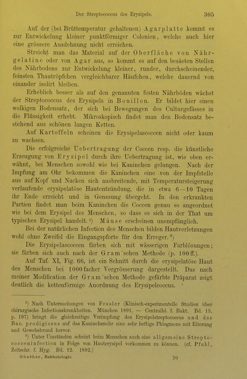 Auf der (bei Brüttemperatur gehaltenen) Agar platte kommt es zur Entwiokelung kleiner punktförmiger Colonien, welche auch hier eine grössere Ausdehnung nicht erreichen. Streicht man das Material auf der Oberfläche von Nähr- gelat ine oder von Agar aus, so kommt es auf den besäeten Stellen des Nährbodens zur Entwiokelung kleiner, runder, durchscheinender, feinsten Thautröpfchen vergleichbarer Häufchen, welche dauernd von einander isolirt bleiben. Erheblich besser als auf den genannten festen Nährböden wächst der Streptococcus des Erysipels in Bouillon. Er bildet hier einen wolkigen Bodensatz, der sich bei Bewegungen des Culturgefässes in die Flüssigkeit erhebt. Mikroskopisch findet man den Bodensatz be- stehend aus schönen langen Ketten. Auf Kartoffeln scheinen die Erysipelascoccen nicht oder kaum zu wachsen. Die erfolgreiche Uebertragung der Coccen resp. die künstliche Erzeugung von Erysipel durch ihre Uebertragung ist, wie oben er- wähnt, bei Menschen sowohl wie bei Kaninchen gelungen. Nach der Impfung am Ohr' bekommen die Kaninchen eine von der Impfstelle aus auf Kopf und Nacken sich ausbreitende, mit Temperatursteigerung verlaufende erysipelatöse Hautentzündung, die in etwa 6—10 Tagen ihr Ende erreicht und in Genesung übergeht. In den erkrankten Partien findet man beim Kaninchen die Coccen genau so angeordnet wie bei dem Erysipel des Menschen, so dass es sich in der That um typisches Erysipel handelt.1) Mäuse erscheinen unempfänglich. Bei der natürlichen Infection des Menschen bilden Hautverletzungen wohl ohne Zweifel die Eingangspforte für den Erreger.2) Die Erysipelascoccen färben sich mit wässerigen Earblösungen; sie färben sich auch nach der Grram'sehen Methode (p. 100ff.). Auf Taf. XI, Fig. 66, ist ein Schnitt durch die erysipelatöse Haut des Menschen bei lOOOfacher Vergrösserung dargestellt. Das nach meiner Modification der Gr am'sehen Methode gefärbte Präparat zeigt deutlich die kettenförmige Anordnung des Erysipelcoccus. ') Nach Untersuchungen von Fessler (Klinisch-experimentelle Studien über chirurgische Infectionskrankheiten. München 1891. — Centralbl. f. Bakt. Bd. 13. p. 197) bringt die gleichzeitige Verimpfung des Erysipelstreptococcus und des Bac. prodigiosus auf das Kaninchenohr eine sehr heftige Phlegmone mit Eiterung und Gewebsbrand hervor. 2) Unter Umständen scheint beim Mensehen auch eine allgemeine Strepto- coccen i n fection in Folge von Hautorysipel vorkommen zu können, (cf. Pfuhl, Zeitschr. f. Hyg. Bd. 12. 1892.) G-ü nth er , Bakteriologie. 20