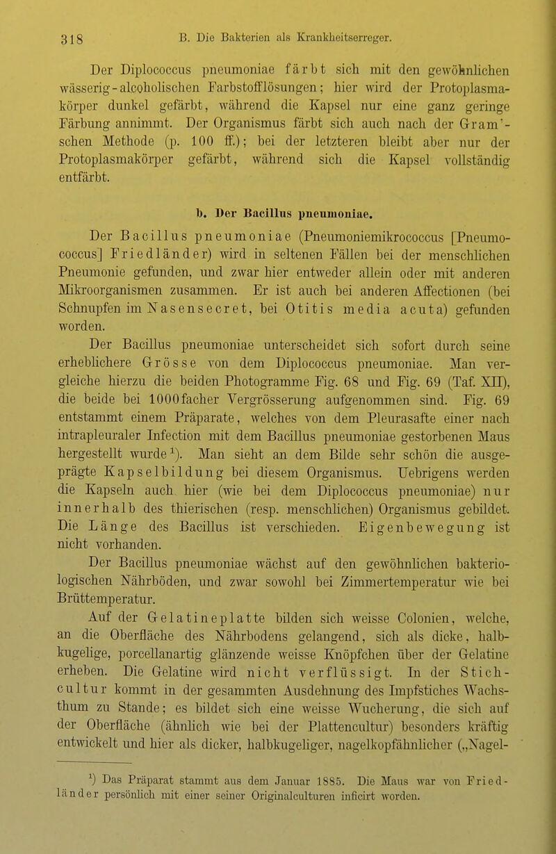Der Diplococcus pneumoniae färbt sich mit den gewöhnlichen wässerig - alcoholischen Farbstofflösungen; hier wird der Protoplasma- körper dunkel gefärbt, während die Kapsel nur eine ganz geringe Färbung annimmt. Der Organismus färbt sich auch nach der Grant- schen Methode (p. 100 ff.); bei der letzteren bleibt aber nur der Protoplasmakörper gefärbt, während sich die Kapsel vollständig entfärbt. 1). Der Bacillus pneumoniae. Der Bacillus pneumoniae (Pneumoniemikrococcus [Pneumo- coccus] Friedländer) wird in seltenen Fällen bei der menschlichen Pneumonie gefunden, und zwar hier entweder allein oder mit anderen Mikroorganismen zusammen. Er ist auch bei anderen Affectionen (bei Schnupfen im Nasensecret, bei Otitis media acuta) gefunden worden. Der Bacillus pneumoniae unterscheidet sich sofort durch seine erheblichere Grösse von dem Diplococcus pneumoniae. Man ver- gleiche hierzu die beiden Photogramme Fig. 68 und Fig. 69 (Taf. XTT), die beide bei lOOOfacher Vergrösserung aufgenommen sind. Fig. 69 entstammt einem Präparate, welches von dem Pleurasafte einer nach intrapleuraler Infection mit dem Bacillus pneumoniae gestorbenen Maus hergestellt wurde1). Man sieht an dem Bilde sehr schön die ausge- prägte Kapselbildung bei diesem Organismus. Uebrigens werden die Kapseln auch hier (wie bei dem Diplococcus pneumoniae) nur innerhalb des thierischen (resp. menschlichen) Organismus gebildet. Die Länge des Bacillus ist verschieden. Eigenbewegung ist nicht vorhanden. Der Bacillus pneumoniae wächst auf den gewöhnlichen bakterio- logischen Nährböden, und zwar sowohl bei Zimmertemperatur wie bei Brüttemperatur. Auf der Gelatine platte bilden sich weisse Colonien, welche, an die Oberfläche des Nährbodens gelangend, sich als dicke, halb- kugelige, porcellanartig glänzende weisse Knöpfchen über der Gelatine erheben. Die Gelatine wird nicht verflüssigt. In der Stich- cultur kommt in der gesammten Ausdehnung des Impfstiches Wachs- thum zu Stande; es bildet sich eine weisse Wucherung, die sich auf der Oberfläche (ähnlich wie bei der Plattencultur) besonders kräftig entwickelt und hier als dicker, halbkugeliger, nagelkopfähnlicher („Nagel- *) Das Präparat stammt aus dem Januar 1885. Die Maus war von Fried- länder persönlich mit einer seiner Originalculturen inficirt worden.