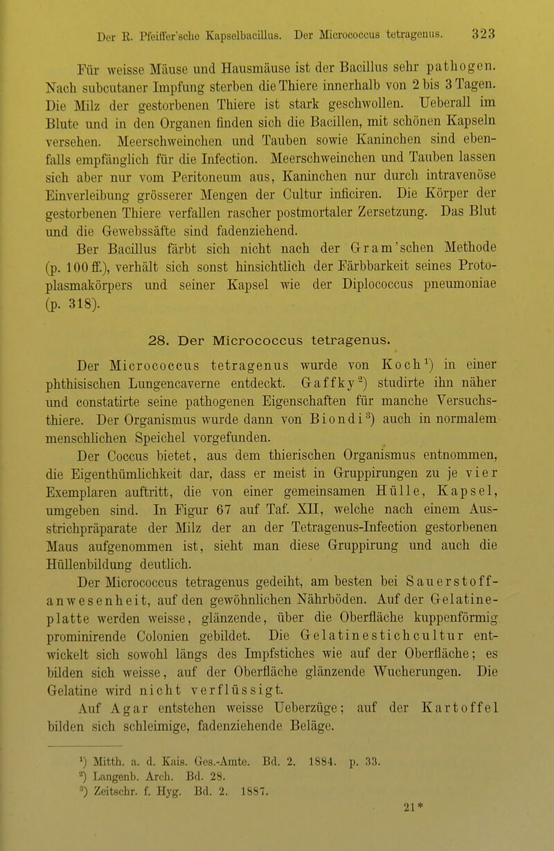 Für weisse Mäuse und Hausmäuse ist der Bacillus sehr pathogen. Nach subcutaner Impfung sterben dieThiere innerhalb von 2 bis 3 Tagen. Die Milz der gestorbenen Thiere ist stark geschwollen. Ueberall im Blute und in den Organen finden sich die Bacillen, mit schönen Kapseln versehen. Meerschweinchen und Tauben sowie Kaninchen sind eben- falls empfänglich für die Infection. Meerschweinchen und Tauben lassen sich aber nur vom Peritoneum aus, Kaninchen nur durch intravenöse Einverleibung grösserer Mengen der Cultur inficiren. Die Körper der gestorbenen Thiere verfallen rascher postmortaler Zersetzung. Das Blut imd die Gewebssäfte sind fadenziehend. Ber Bacillus färbt sich nicht nach der Gr am'sehen Methode (p. 100 ff.), verhält sich sonst hinsichtlich der Färbbarkeit seines Proto- plasmakörpers und seiner Kapsel wie der Diplococcus pneumoniae (p. 318). 28. Der Micrococcus tetragenus. Der Micrococcus tetragenus wurde von Koch1) in einer phthisischen Lungencaverne entdeckt. Gaffky2) studirte ihn näher und constatirte seine pathogenen Eigenschaften für manche Versuchs- thiere. Der Organismus wurde dann von B i o n d i3) auch in normalem menschlichen Speichel vorgefunden. Der Coccus bietet, aus dem thierischen Organismus entnommen, die EigenthümUchkeit dar, dass er meist in Gruppirungen zu je vier Exemplaren auftritt, die von einer gemeinsamen Hülle, Kapsel, umgeben sind. In Figur 67 auf Taf. XH, welche nach einem Aus- strichpräparate der Milz der an der Tetragenus-Infection gestorbenen Maus aufgenommen ist, sieht man diese Gruppirung und auch die Hüllenbildung deutlich. Der Micrococcus tetragenus gedeiht, am besten bei Sauerstoff- anwesenheit, auf den gewöhnlichen Nährböden. Auf der Gelatine- platte werden weisse, glänzende, über die Oberfläche kuppenförmig prominirende Colonien gebildet. Die Gelatinestichcultur ent- wickelt sich sowohl längs des Impfstiches wie auf der Oberfläche; es bilden sich weisse, auf der Oberfläche glänzende Wucherungen. Die Gelatine wird nicht verflüssigt. Auf Agar entstehen weisse Ueberzüge; auf der Kartoffel bilden sich schleimige, fadenziehende Beläge. ») Mitth. a. d. Kais. Ges.-Amte. Bd. 2. 1884. p. 33. 2) Langenb. Arch. Bd. 28. 3) Zeitechr. f. Hyg. Bd. 2. 1887. 21*
