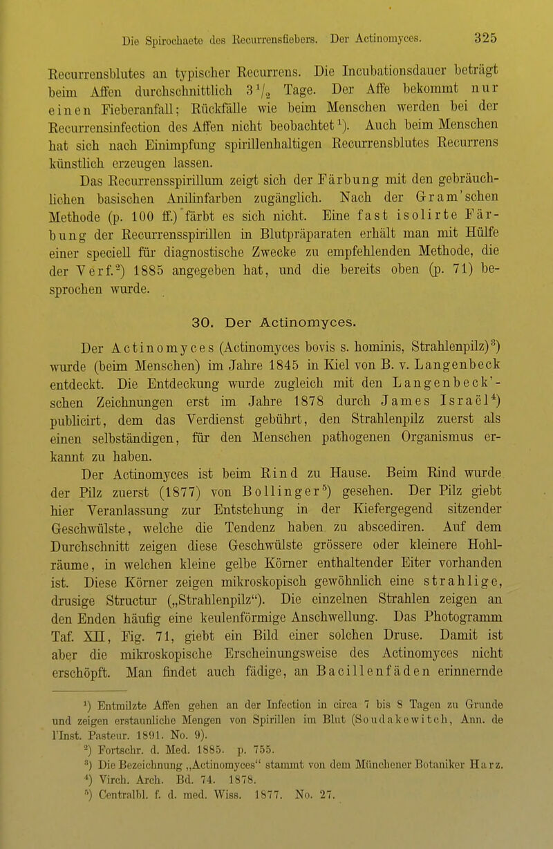 Reourrensblutes an typischer Recurrens. Die Incubationsdauer beträgt beim Affen durchschnittlich S1^ Tage. Der Affe bekommt nur einen Fieberanfall; Rückfälle wie beim Menschen werden bei der Ktrurrensinfection des Affen nicht beobachtet1). Auch beim Menschen hat sich nach Einimpfung spirillenhaltigen Reourrensblutes Recurrens künstlich erzeugen lassen. Das Recurrensspirillum zeigt sich der Färbung mit den gebräuch- lichen basischen Anilinfarben zugänglich. Nach der Gr am'sehen Methode (p. 100 ff.)'färbt es sich nicht. Eine fast isolirte Fär- bung der Recurrensspirillen in Blutpräparaten erhält man mit Hülfe einer speciell für diagnostische Zwecke zu empfehlenden Methode, die der Verf.2) 1885 angegeben hat, und die bereits oben (p. 71) be- sprochen wurde. 30. Der Actinomyces. Der Actinomyces (Actinomyces bovis s. hominis, Strahlenpilz)3) wurde (beim Menschen) im Jahre 1845 in Kiel von B. v. Langenbeck entdeckt. Die Entdeckung wurde zugleich mit den Langenbeck'- sehen Zeichnungen erst im Jahre 1878 durch James Israel4) publicirt, dem das Verdienst gebührt, den Strahlenpilz zuerst als einen selbständigen, für den Menschen pathogenen Organismus er- kannt zu haben. Der Actinomyces ist beim Rind zu Hause. Beim Rind wurde der Pilz zuerst (1877) von Bollinger5) gesehen. Der Pilz giebt hier Veranlassung zur Entstehung in der Kiefergegend sitzender Geschwülste, welche die Tendenz haben zu abscediren. Auf dem Durchschnitt zeigen diese Geschwülste grössere oder kleinere Hohl- räume, in welchen kleine gelbe Körner enthaltender Eiter vorhanden ist. Diese Körner zeigen mikroskopisch gewöhnlich eine strahlige, drusige Structur („Strahlenpilz). Die einzelnen Strahlen zeigen an den Enden häufig eine keulenförmige Anschwellung. Das Photogramm Taf. XH, Fig. 71, giebt ein Bild einer solchen Druse. Damit ist aber die mikroskopische Erscheinungsweise des Actinomyces nicht erschöpft. Man findet auch fädige, an Bacillenfäden erinnernde ') Entmilzte Affen gehen an der Infection in circa 7 bis 8 Tagen zu Grunde und zeigen erstaunliche Mengen von Spirillen im Blut (Soudakewitck, Ann. de lTnst. Pasteur. 1891. No. 9). 2) Fortschr. d. Med. 1885. p. 755. ;;) Die Bezeichnung „Actinomyces stammt von dem Münchener Botaniker Ha rz. 4) Virch. Arch. Bd. 74. 1878. ft) Centralbl. f. d. med. Wiss. 1877. No. 27.