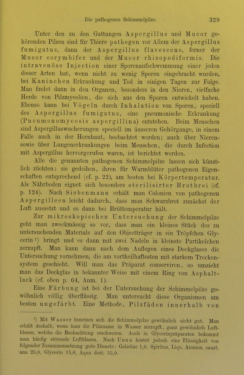Unter den zu den Gattungen Aspergillus und Mucor ge- hörenden Pilzen sind für Thiere pathogen vor Allem der Aspergillus fumigatus, dann der Aspergillus flavescens, ferner der Mucor corymbifer und der Mucor rhizopodiformis. Die intravenöse I nj e c t i o n einer Sporenaufschwemmung einer jeden dieser Arten hat, wenn nicht zu wenig Sporen eingebracht wurden, bei Kaninchen Erkrankung und Tod in einigen Tagen zur Folge. Man findet dann in den Organen, besonders in den Nieren, vielfache Herde von Pilzmycelien, die sich aus den Sporen entwickelt haben. Ebenso kann bei Vögeln durch Inhalation von Sporen, speciell des Aspergillus fumigatus, eine pneumonische Erkrankung (Pneumonomycosis aspergillina) entstehen. Beim Menschen sind Aspergilluswucherungen speciell im äusseren Gehörgange, in einem Falle auch in der Hornhaut, beobachtet worden; auch über Nieren- sowie über Lungenerkrankungen beim Menschen, die durch Infection mit Aspergillus hervorgerufen waren, ist berichtet worden. Alle die genannten pathogenen Schimmelpilze lassen sich künst- lich züchten; sie gedeihen, ihren für Warmblüter pathogenen Eigen- schaften entsprechend (cf. p. 22), am besten bei Körpertemperatur. Als Nährboden eignet sich besonders sterilisirter Brotbrei (cf. p. 124). Nach Siebenmann erhält man Colonien von pathogenen Aspergilleen leicht dadurch, dass man Schwarzbrot zunächst der Luft aussetzt und es dann bei Brüttemperatur hält. Zur mikroskopischen Untersuchung der Schimmelpilze geht man zweckmässig so vor, dass man ein kleines Stück des zu untersuchenden Materials auf den Objectträger in ein Tröpfchen Gly- cerin l) bringt und es dann mit zwei Nadeln in kleinste Partikelchen zerzupft. Man kann dann nach dem Auflegen eines Deckglases die Untersuchung vornehmen, die am vortheilhaftesten mit starkem Trocken- system geschieht. Will man das Präparat conserviren, so umzieht man das Deckglas in bekannter Weise mit einem Bing von Asphalt- lack (cf. oben p. 64, Anm. 1). Eine Färbung ist bei der Untersuchung der Schimmelpilze ge- wöhnlich völlig überflüssig. Man untersucht diese Organismen am besten ungefärbt. Eine Methode, Pilzfäden innerhalb von *) Mit W asser benetzen sich die Schimmelpilze gewöhnlich nicht gut. Man erhält deshalb, wenn man die Pilzmasse in Wasser zerzupft, ganz gewöhnlich Luft- blasen, welche die Beobachtung erschweren. Auch in Glycerinpräparaten bekommt man häufig störende Luftblasen. Nach Unna leistet jedoch eine Flüssigkeit von folgender Zusammensetzung gute Dienste: Gelatine 1,0, Spiritus, Liqu. Amnion, caust. ana 25,0, Glycerin 15,0, Aqua dest. 35,0.