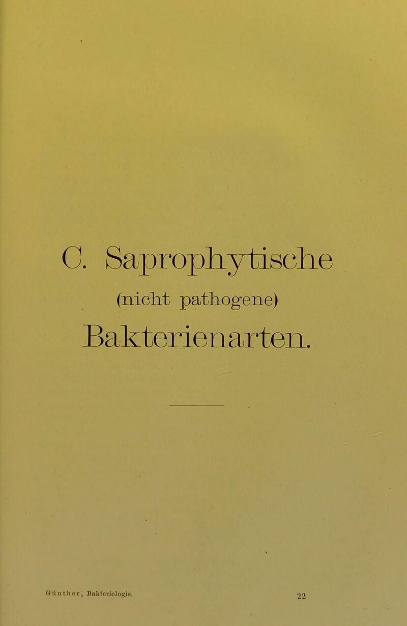 C. Saprophytische (nicht pathogene) Bakterienarten. G ü n t h o r, Bakteriologie. 22