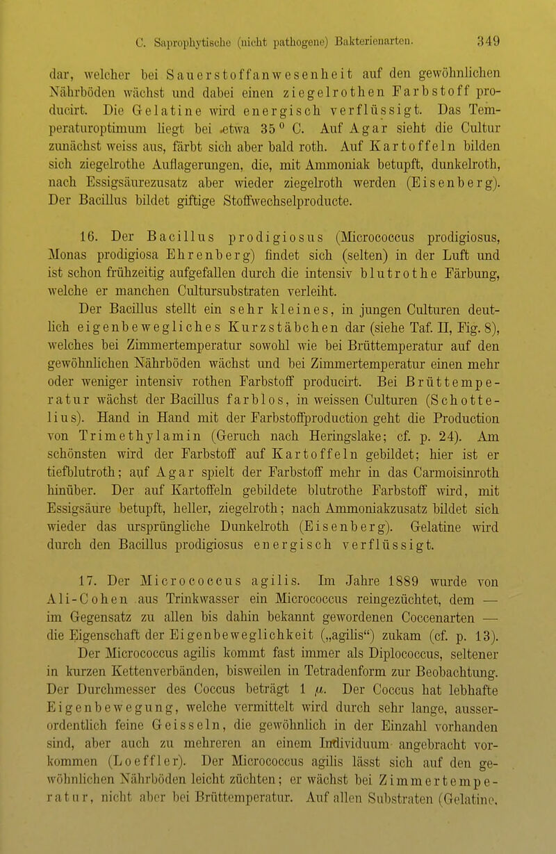 dar, welcher bei Sauerstoffanwesenheit auf den gewöhnlichen Nährböden wächst und dabei einen ziegelrothen Farbstoff pro- ducirt. Die Gelatine wird energisch verflüssigt. Das Tem- peraturoptimum liegt bei etwa 35° C. Auf Agar sieht die Cultur zunächst weiss aus, färbt sich aber bald roth. Auf Kartoffeln bilden sich ziegelrothe Auflagerungen, die, mit Ammoniak betupft, dunkelroth, nach Essigsäurezusatz aber wieder ziegelroth werden (Eisenberg). Der Bacillus bildet giftige Stoffwechselproducte. 16. Der Bacillus prodigiosus (Micrococcus prodigiosus, Monas prodigiosa Ehrenberg) findet sich (selten) in der Luft und ist schon frühzeitig aufgefallen durch die intensiv blutrothe Färbung, welche er manchen Cultursubstraten verleiht. Der Bacillus stellt ein sehr kleines, in jungen Culturen deut- lich eigenbewegliches Kurzstäbchen dar (siehe Taf. D, Fig. 8), welches bei Zimmertemperatur sowohl wie bei Brüttemperatur auf den gewöhnlichen Nährböden wächst und bei Zimmertemperatur einen mehr oder weniger intensiv rothen Farbstoff producirt. Bei Brüttempe- ratur wächst der Bacillus farblos, in weissen Culturen (Schotte- lius). Hand in Hand mit der Farbstoffproduction geht die Production von Trimethylamin (Geruch nach Heringslake; cf. p. 24). Am schönsten wird der Farbstoff auf Kartoffeln gebildet; hier ist er tiefblutroth; auf Agar spielt der Farbstoff mehr in das Carmoisinroth hinüber. Der auf Kartoffeln gebildete blutrothe Farbstoff wird, mit Essigsäure betupft, heller, ziegelroth; nach Ammoniakzusatz bildet sich wieder das ursprüngliche Dunkelroth (Eisenberg). Gelatine wird durch den Bacillus prodigiosus energisch verflüssigt. 17. Der Micrococcus agilis. Im Jahre 1889 wurde von Ali-Cohen aus Trinkwasser ein Micrococcus reingezüchtet, dem — im Gegensatz zu allen bis dahin bekannt gewordenen Coccenarten — die Eigenschaft der Eigenbeweglichkeit („agilis) zukam (cf. p. 13). Der Micrococcus agilis kommt fast immer als Diplococcus, seltener in kurzen Kettenverbänden, bisweilen in Tetradenform zur Beobachtimg. Der Durchmesser des Coccus beträgt 1 /n. Der Coccus hat lebhafte Eigenbewegung, welche vermittelt wird durch sehr lange, ausser- ordentlich feine Geis sein, die gewöhnlich in der Einzahl vorhanden sind, aber auch zu mehreren an einem Individuum- angebracht vor- kommen (Loeffler). Der Micrococcus agilis lässt sich auf den ge- wöhnlichen Nährböden leicht züchten; erwächst bei Zimmertempe- ratur, nicht aber bei Brüttemperatur. Auf allen Substraten (Gelatine,