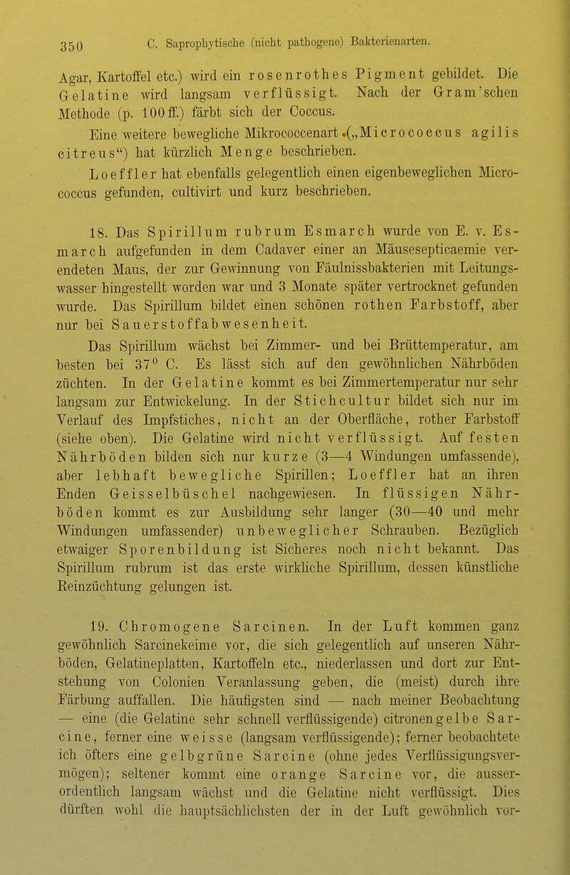 Agar, Kartoffel etc.) wird ein rosenrothes Pigment gebildet. Die Gelatine wird langsam verflüssigt. Nach der Gr am sehen Methode (p. 100 ff.) färbt sich der Coccus. Eine weitere bewegliche Mikrococcenart.(„Micrococcus agilis citreus) hat kürzlich Menge beschrieben. Loeffler hat ebenfalls gelegentlich einen eigenbeweglichen Micro- coccus gefunden, cultivirt und kurz beschrieben. 18. Das Spirillum rubrum Esmarch wurde von E. v. Es- march aufgefunden in dem Cadaver einer an Mäusesepticaemie ver- endeten Maus, der zur Gewinnung von Fäulnissbakterien mit Leitungs- wasser hingestellt worden war und 3 Monate später vertrocknet gefunden wurde. Das Spirillum bildet einen schönen rothen Farbstoff, aber nur bei Sauerstoffabwesenheit. Das Spirillum wächst bei Zimmer- und bei Brüttemperatur, am besten bei 37° C. Es lässt sich auf den gewöhnlichen Nährböden züchten. In der Gelatine kommt es bei Zimmertemperatm* nur sehr langsam zur Entwickelung. In der Stichcultur bildet sich nur im Verlauf des Irnpfstiches, nicht an der Oberfläche, rother Farbstoff (siehe oben). Die Gelatine wird nicht verflüssigt. Auf festen Nährböden bilden sich nur kurze (3—4 Windungen umfassende), aber lebhaft bewegliche Spirillen; Loeffler hat an ihren Enden Geisselbüschel nachgewiesen. In flüssigen Nähr- böden kommt es zur Ausbildung sehr langer (30—40 und mehr Windungen umfassender) unbeweglicher Schrauben. Bezüglich etwaiger Sporenbildung ist Sicheres noch nicht bekannt. Das Spirillum rubrum ist das erste wirkliche Spirillum, dessen künstliche Reinzüchtung gelungen ist. 19. Chromogene Sarcinen. In der Luft kommen ganz gewöhnlich Sarcinekeime vor, die sich gelegentlich auf unseren Nähr- böden, Gelatineplatten, Kartoffeln etc., niederlassen und dort zur Ent- stehung von Colonien Veranlassung geben, die (meist) durch ihre Färbung auffallen. Die häufigsten sind — nach meiner Beobachtung — eine (die Gelatine sehr schnell verflüssigende) citronen g e 1 b e Sar- cine, ferner eine weisse (langsam verflüssigende); ferner beobachten' ich öfters eine gelb grüne Sa reine (ohne jedes Verflüssigungsver- mögen); seltener kommt eine orange Sarcine vor, die ausser- ordentlich langsam wächst und die Gelatine nicht verflüssigt. Dies dürften wohl die hauptsächlichsten der in der Luft gewöhnlich vor-